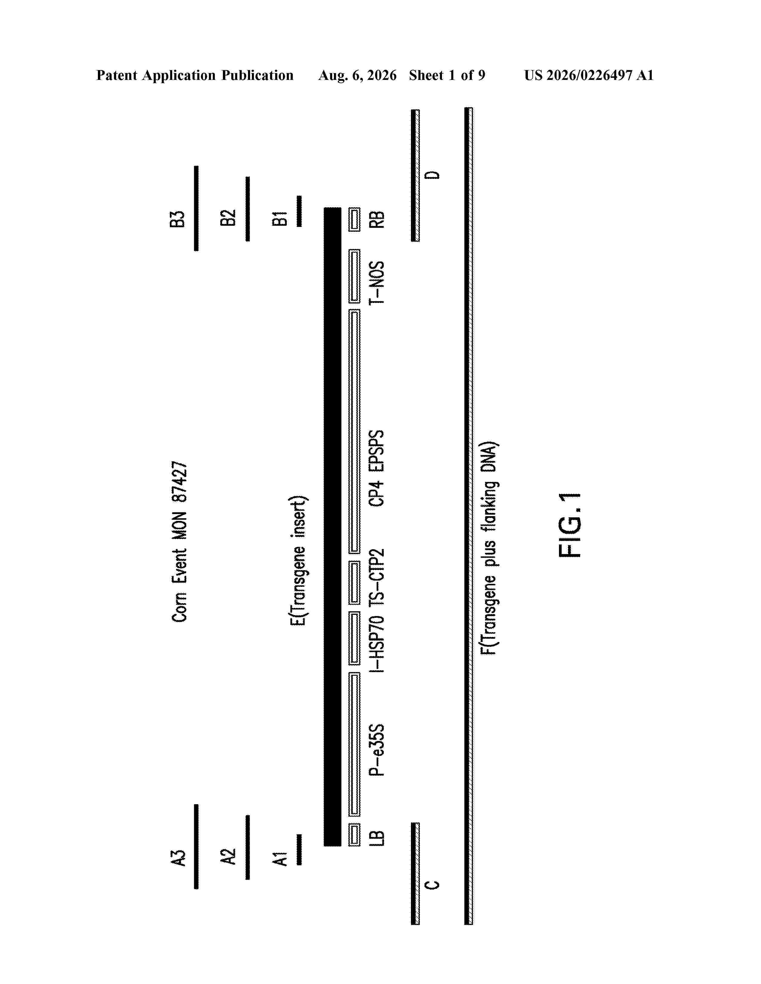 US_20260226497_A1