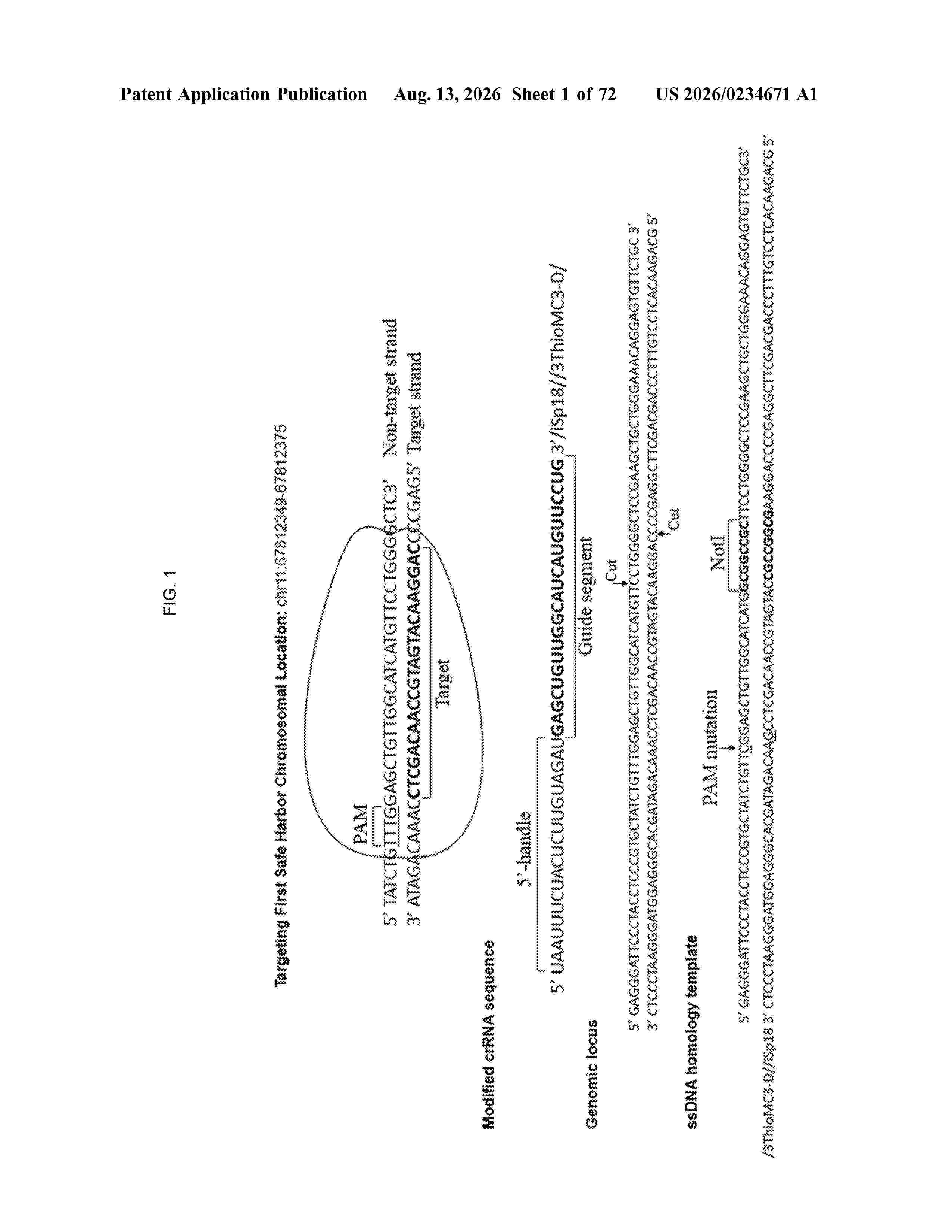 US_20260234671_A1