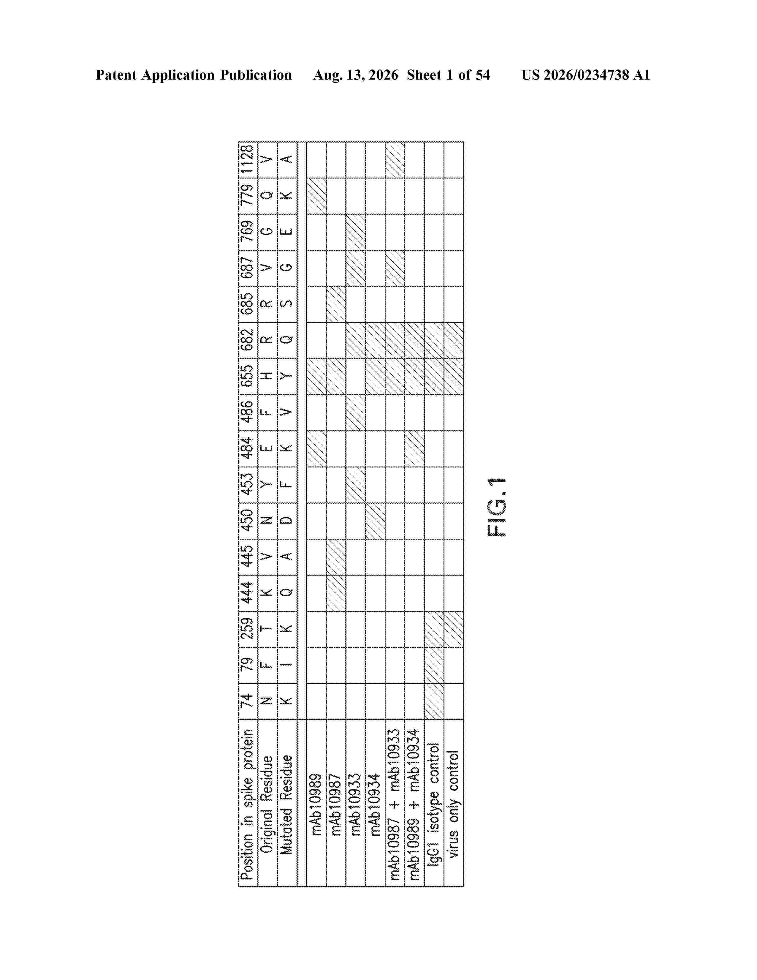 US_20260234738_A1