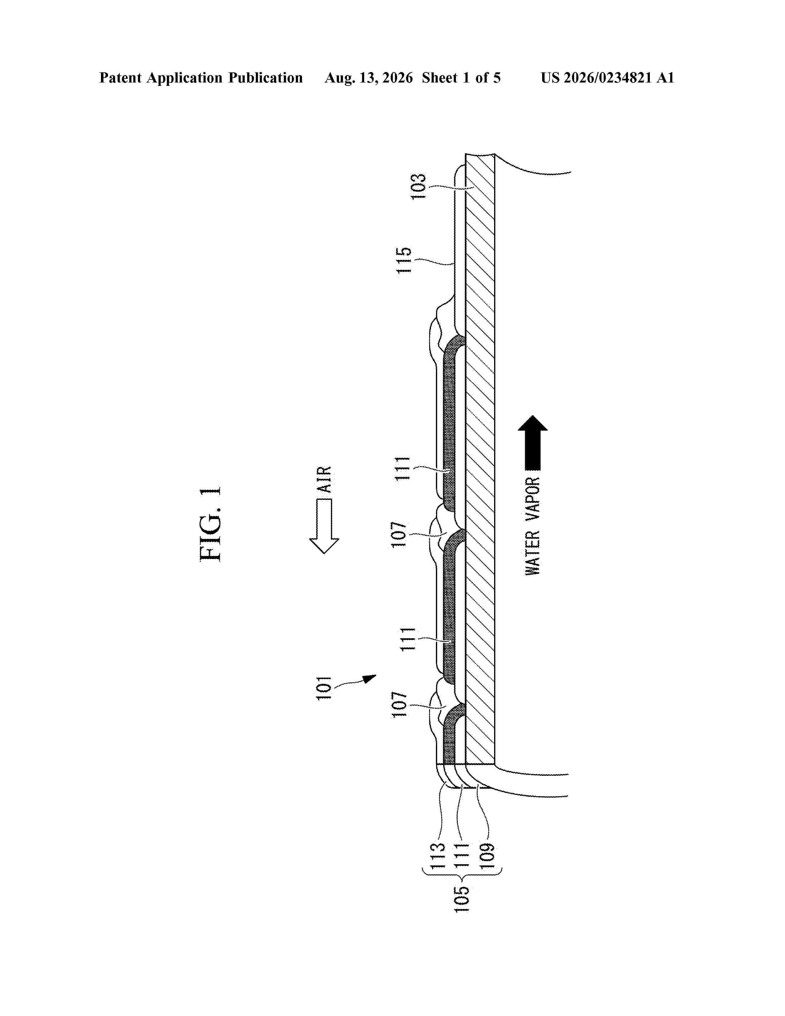US_20260234821_A1