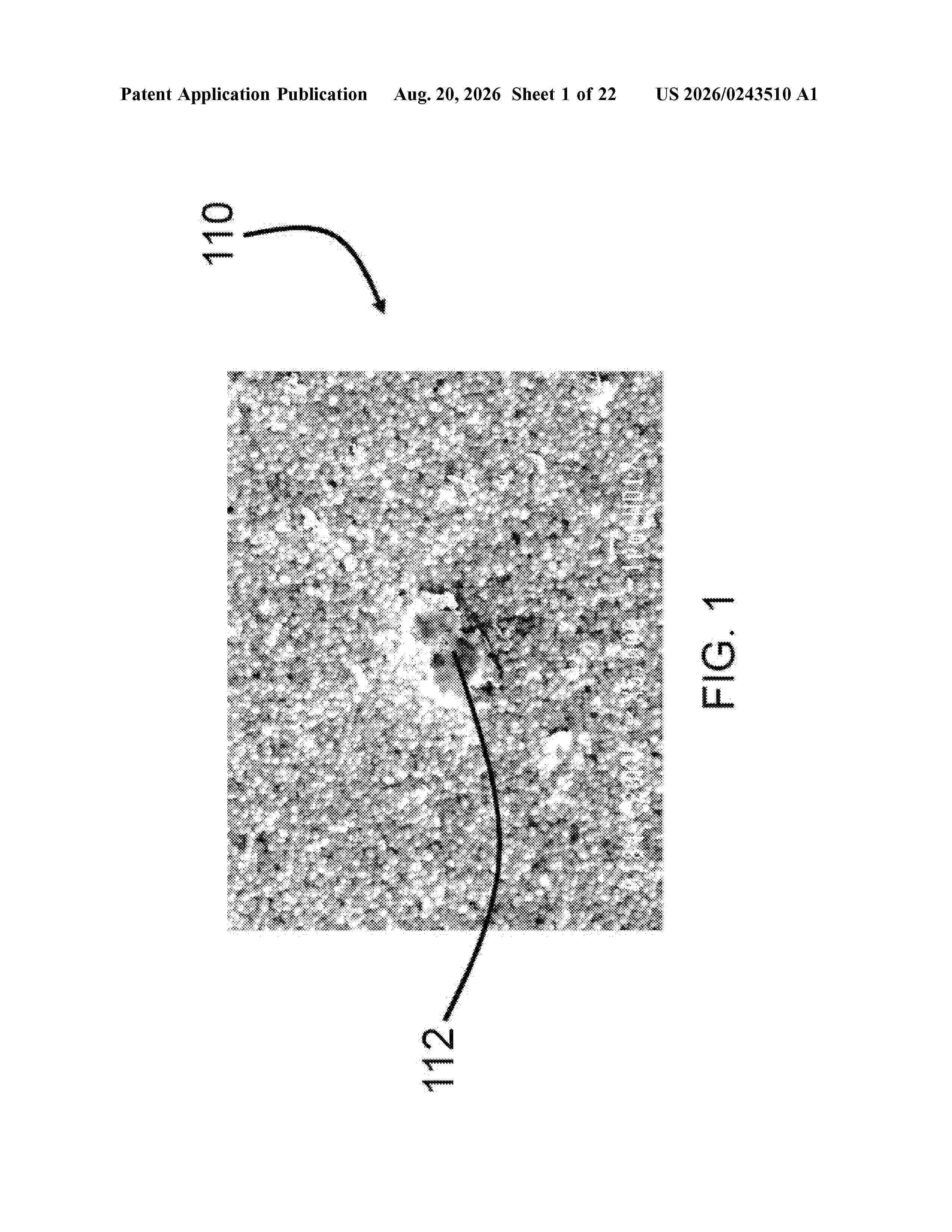 US_20260243510_A1