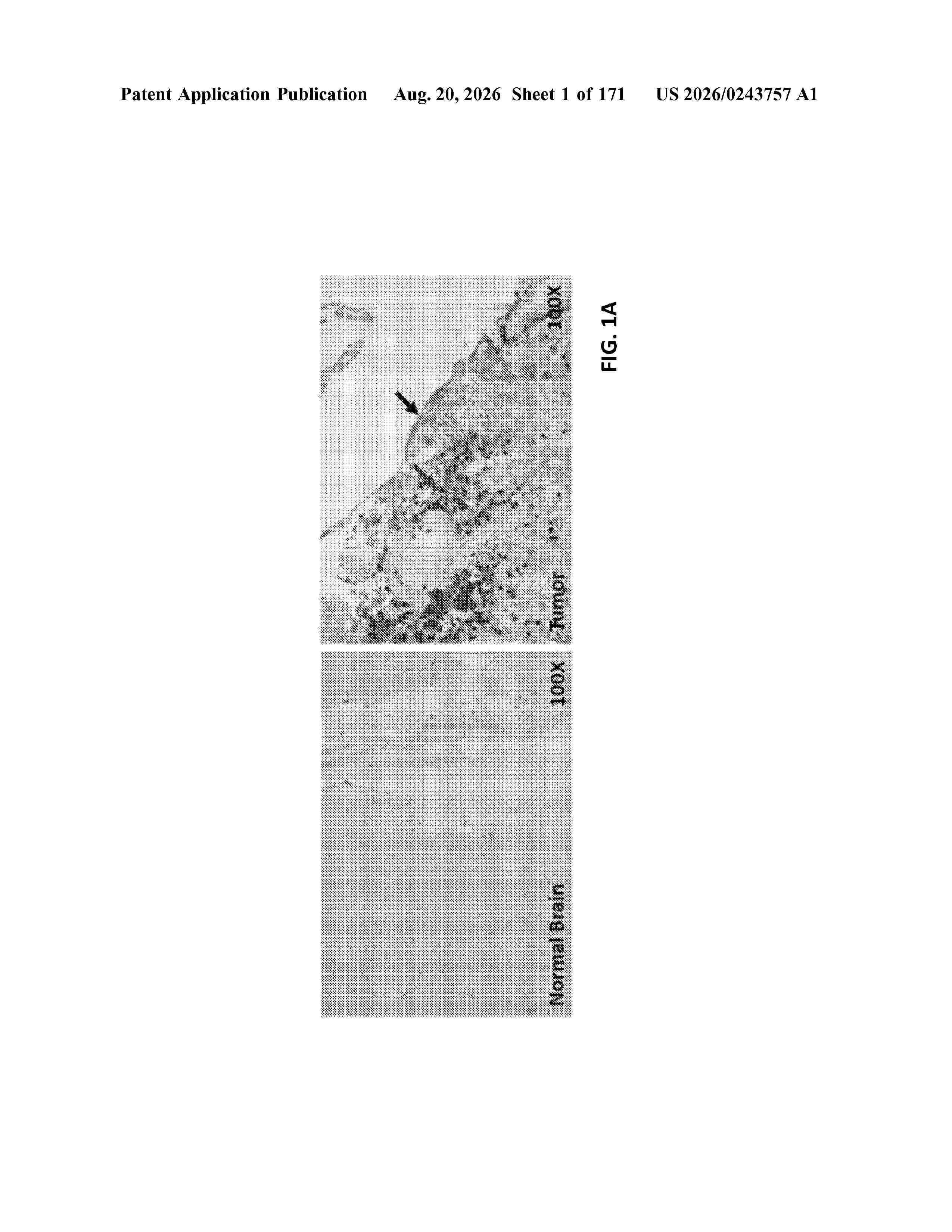 US_20260243757_A1