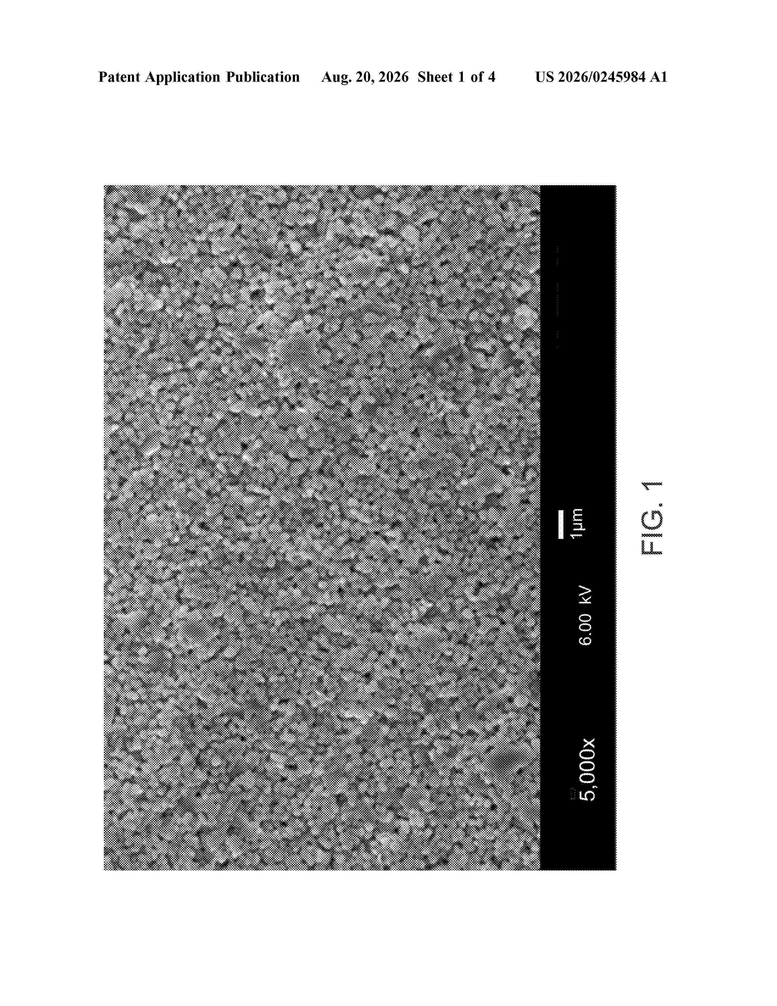 US_20260245984_A1