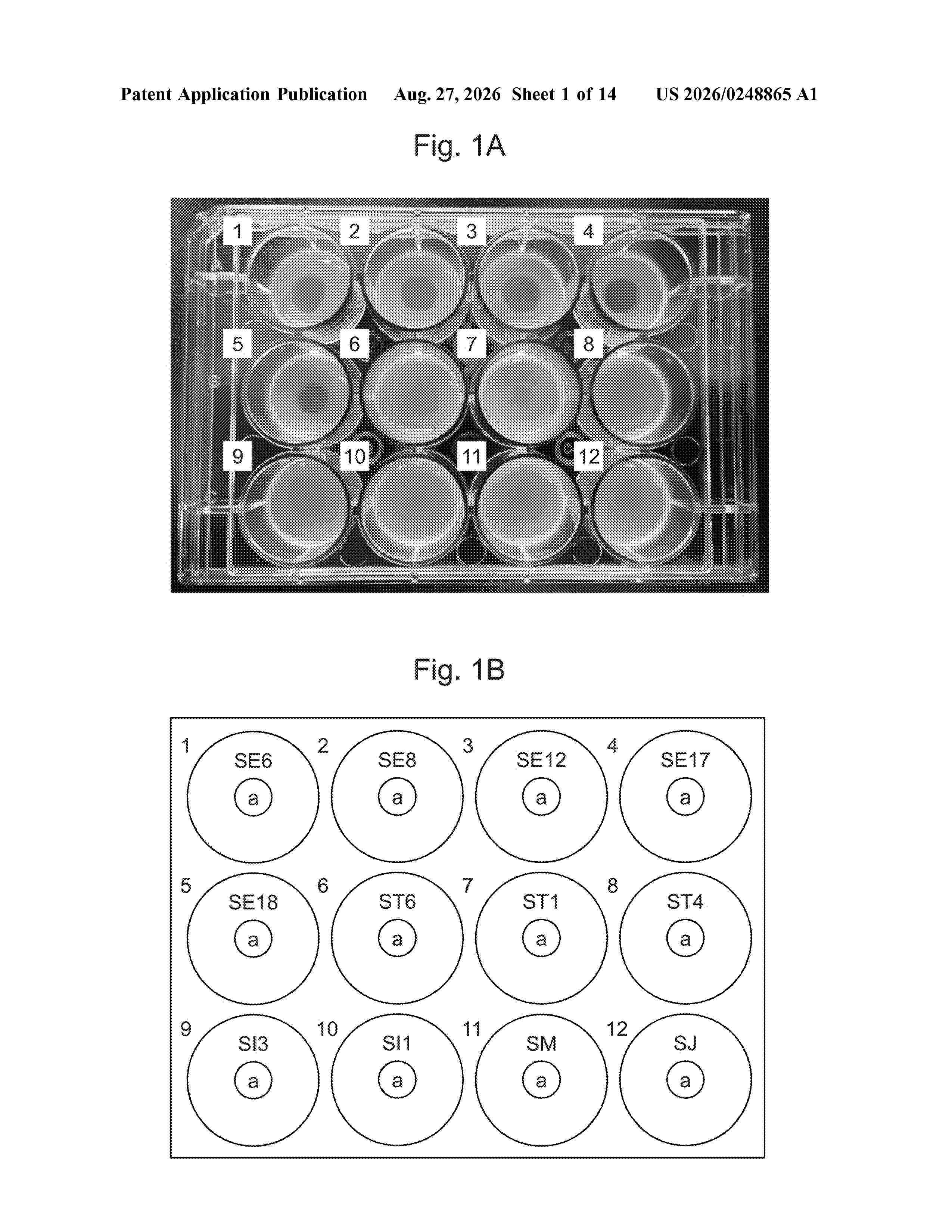 US_20260248865_A1