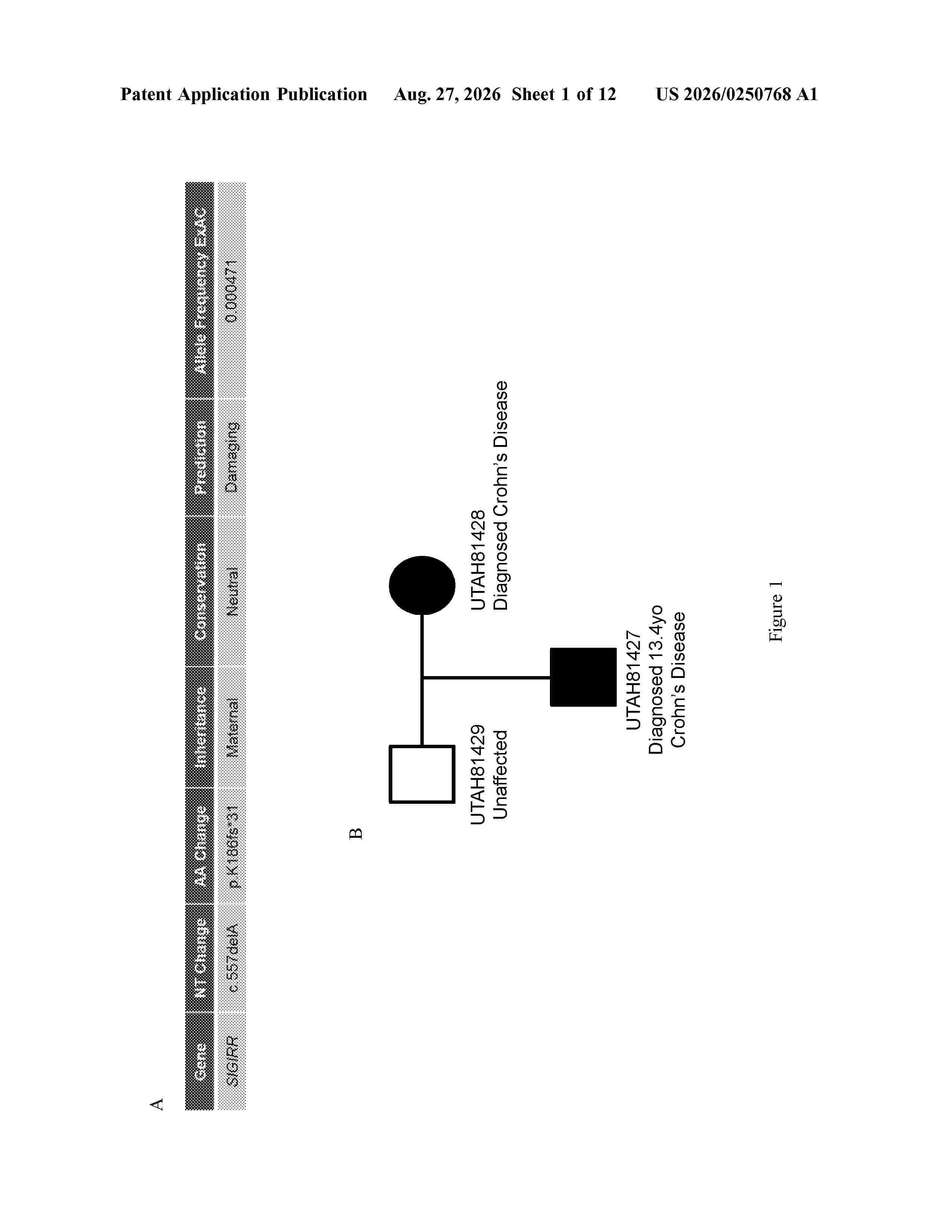 US_20260250768_A1