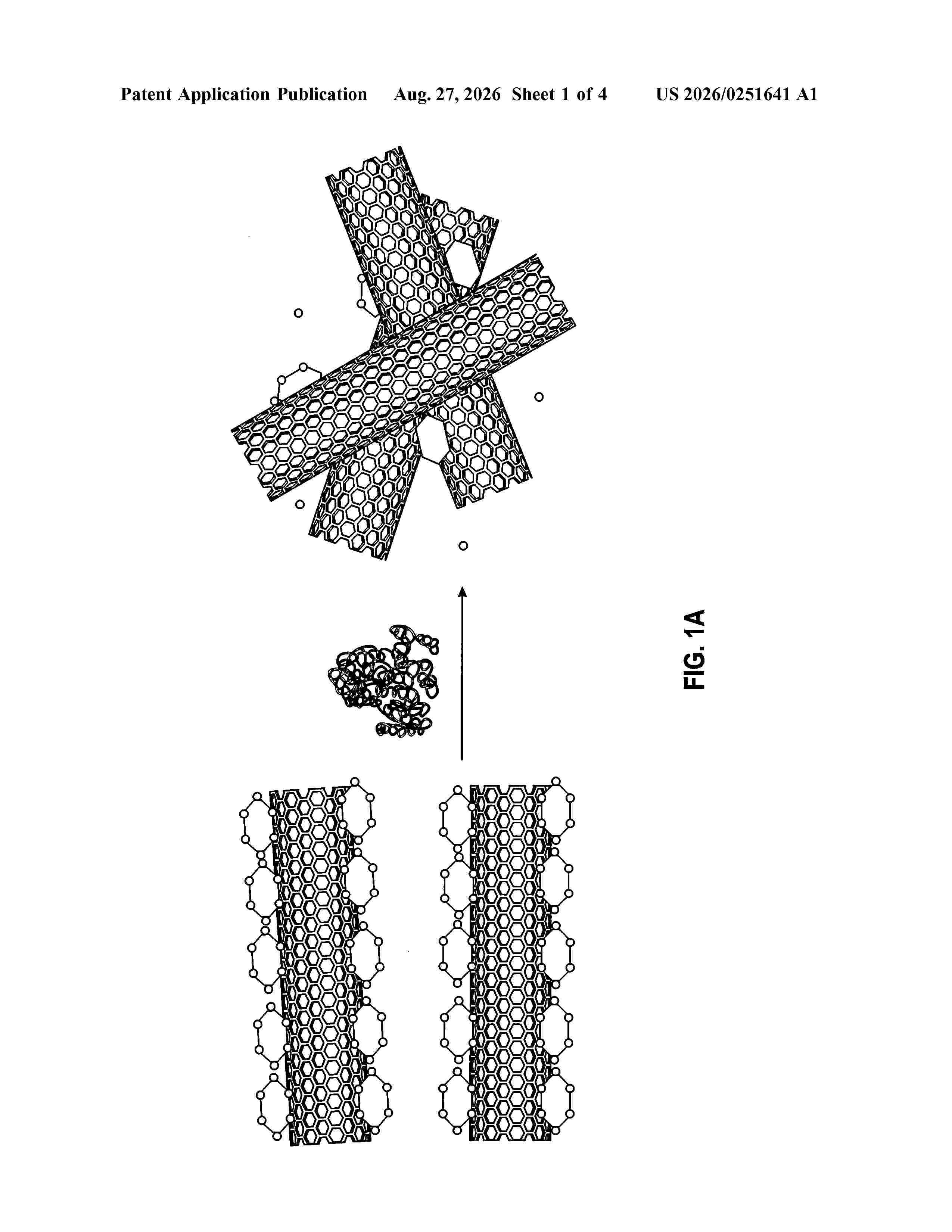 US_20260251641_A1