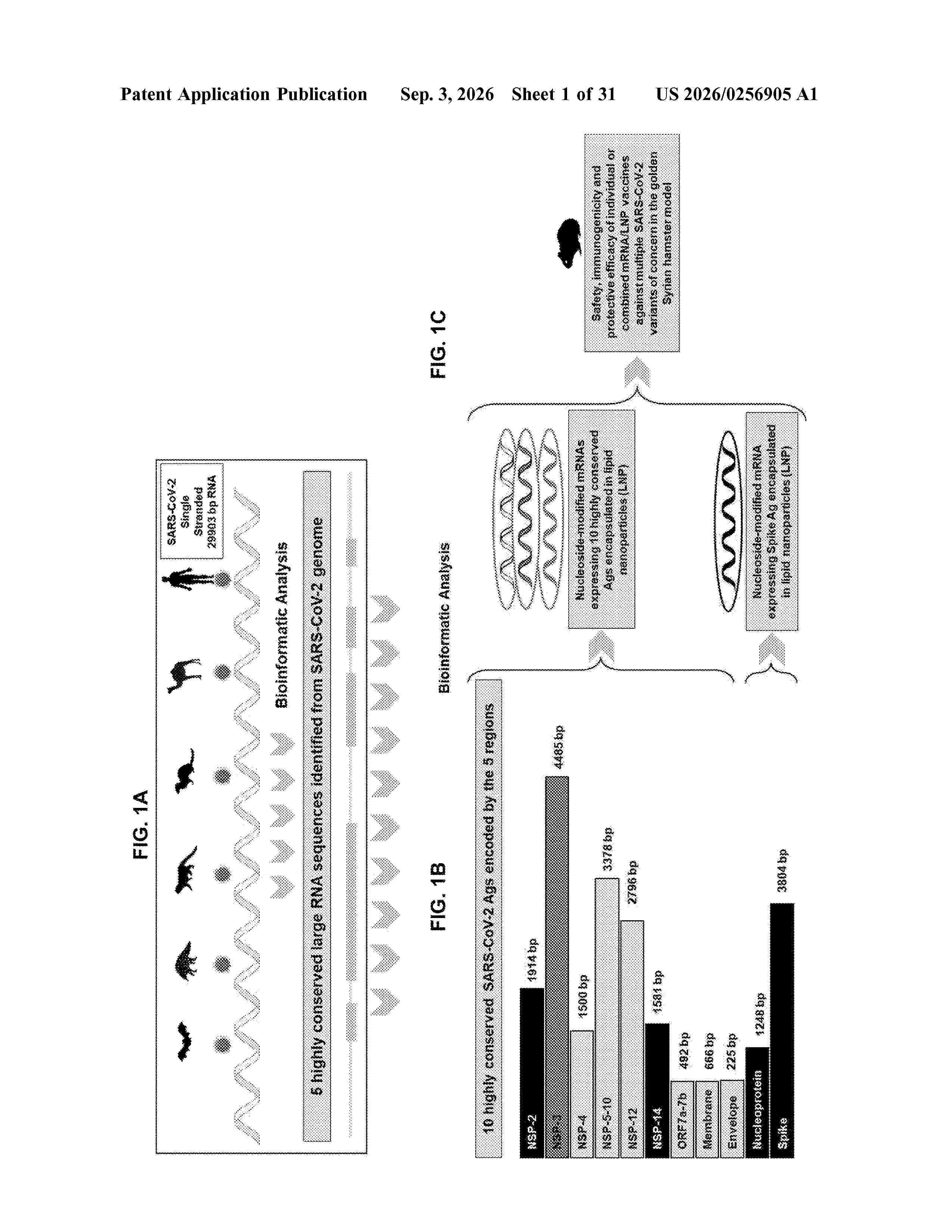 US_20260256905_A1