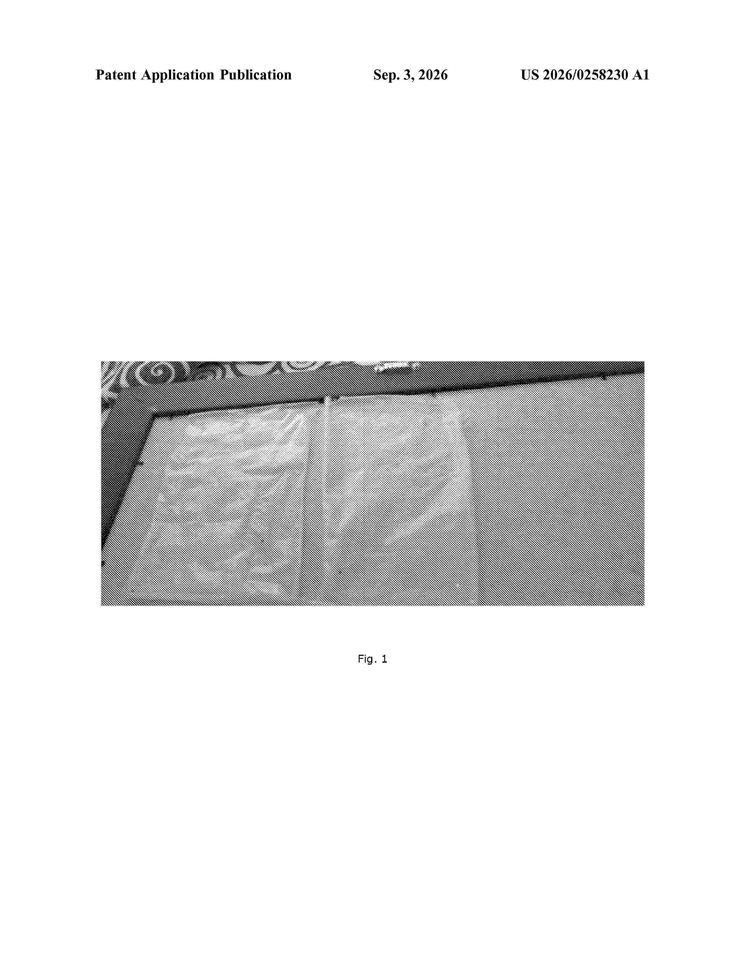 US_20260258230_A1