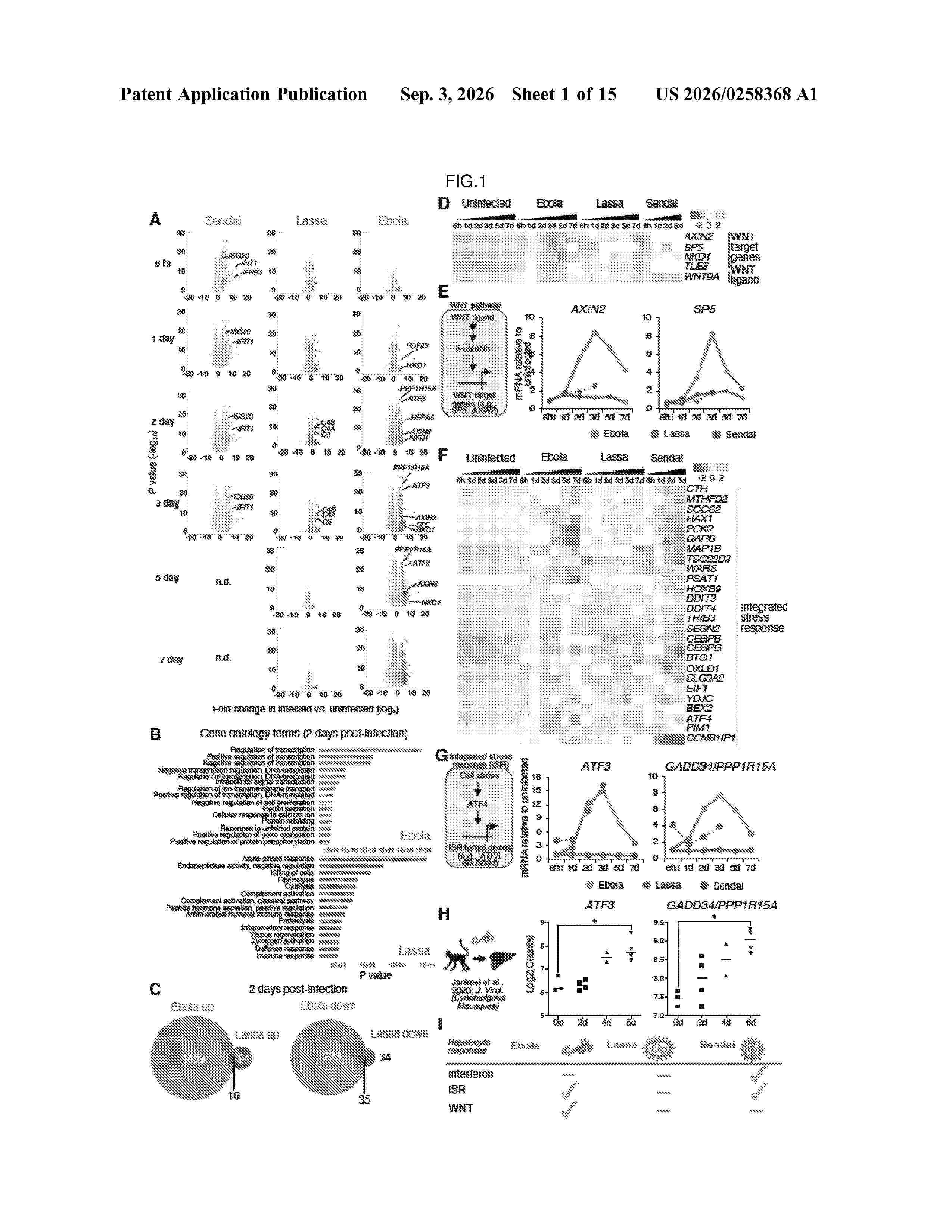US_20260258368_A1