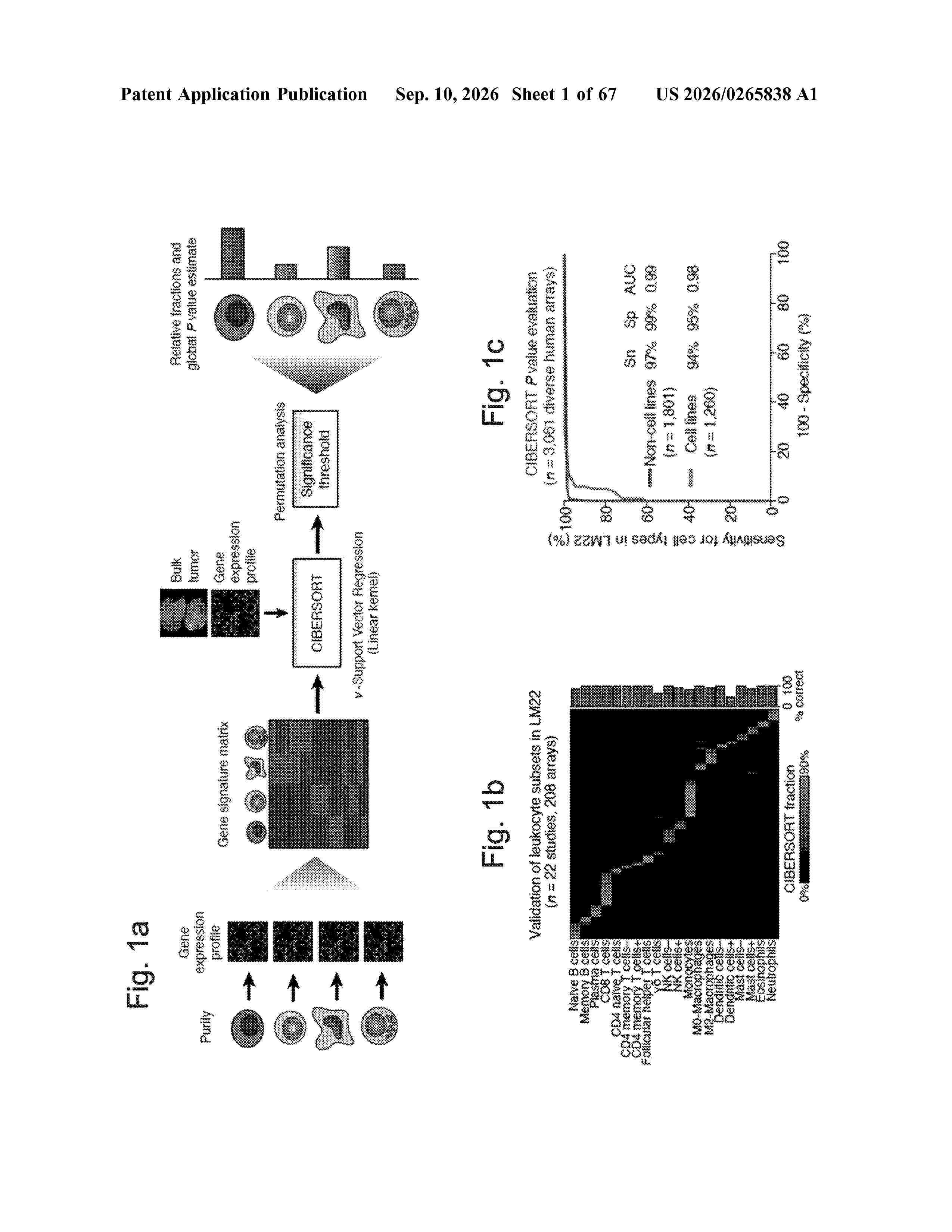 US_20260265838_A1