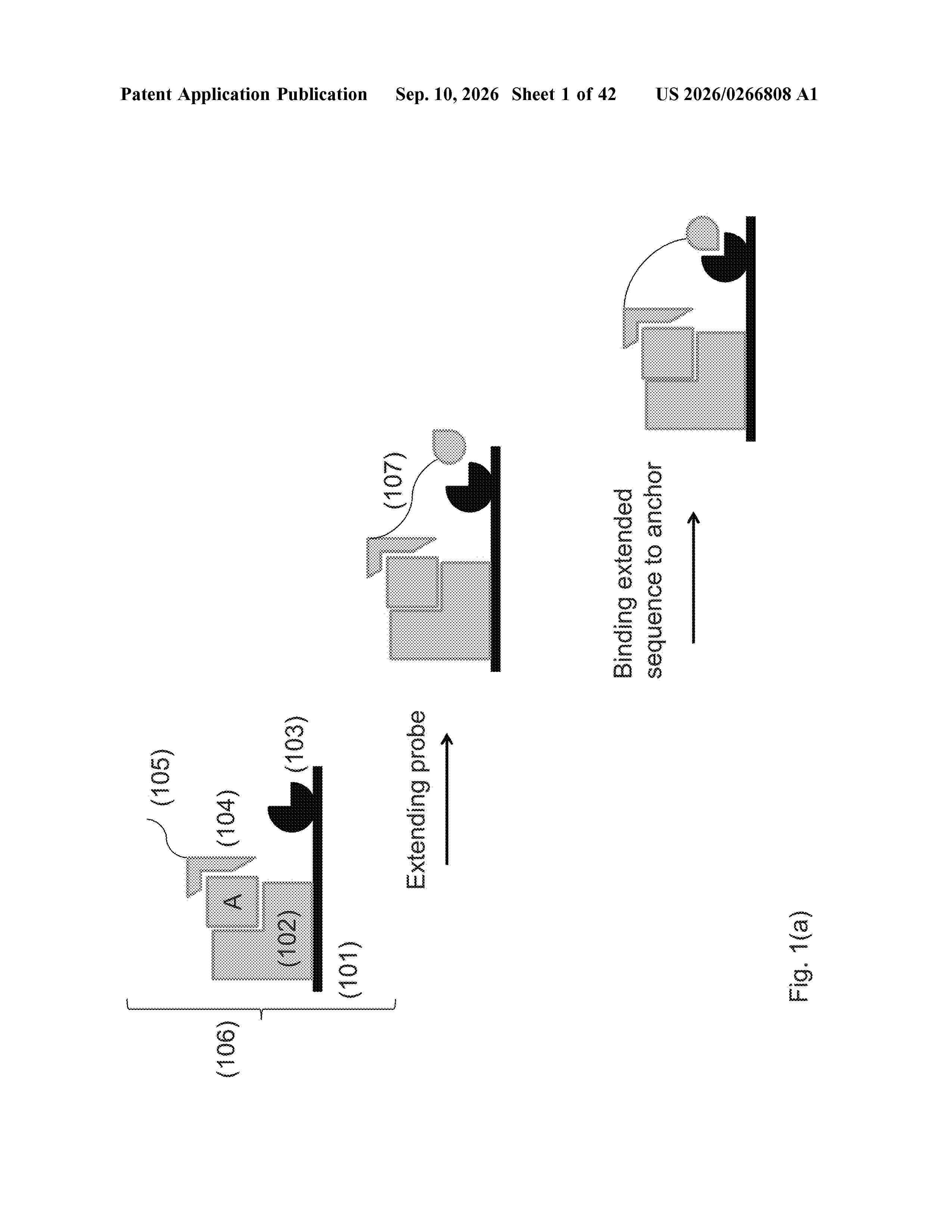 US_20260266808_A1