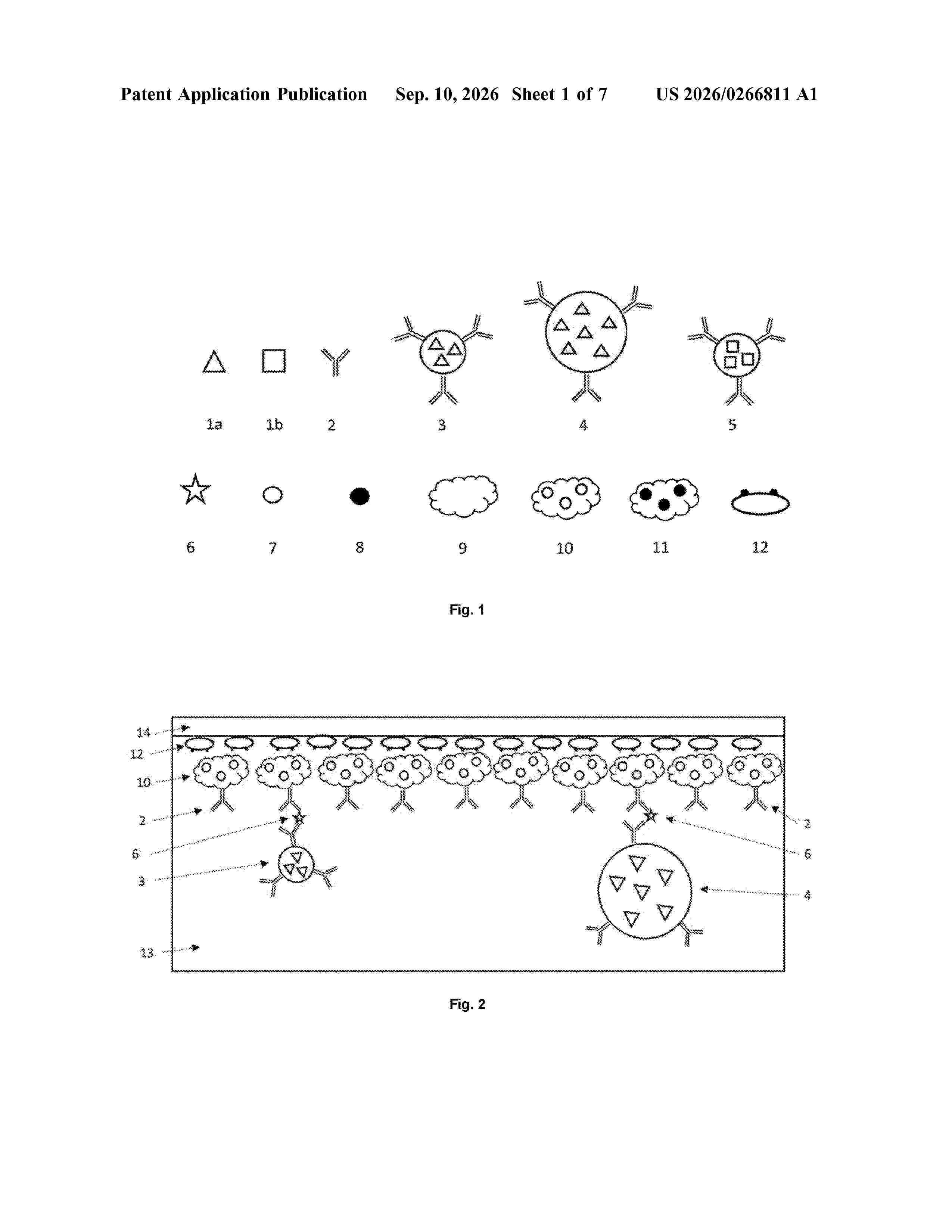 US_20260266811_A1