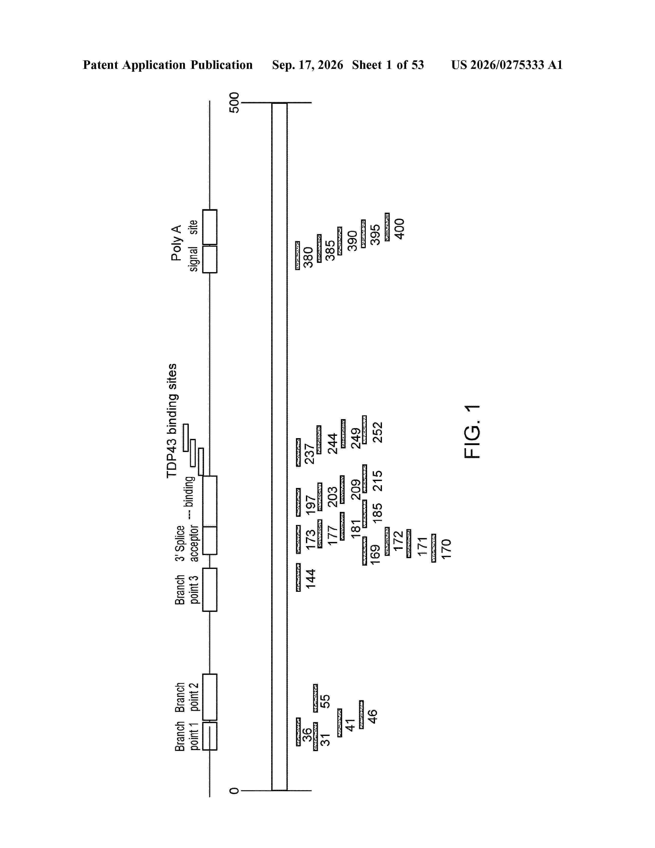 US_20260275333_A1