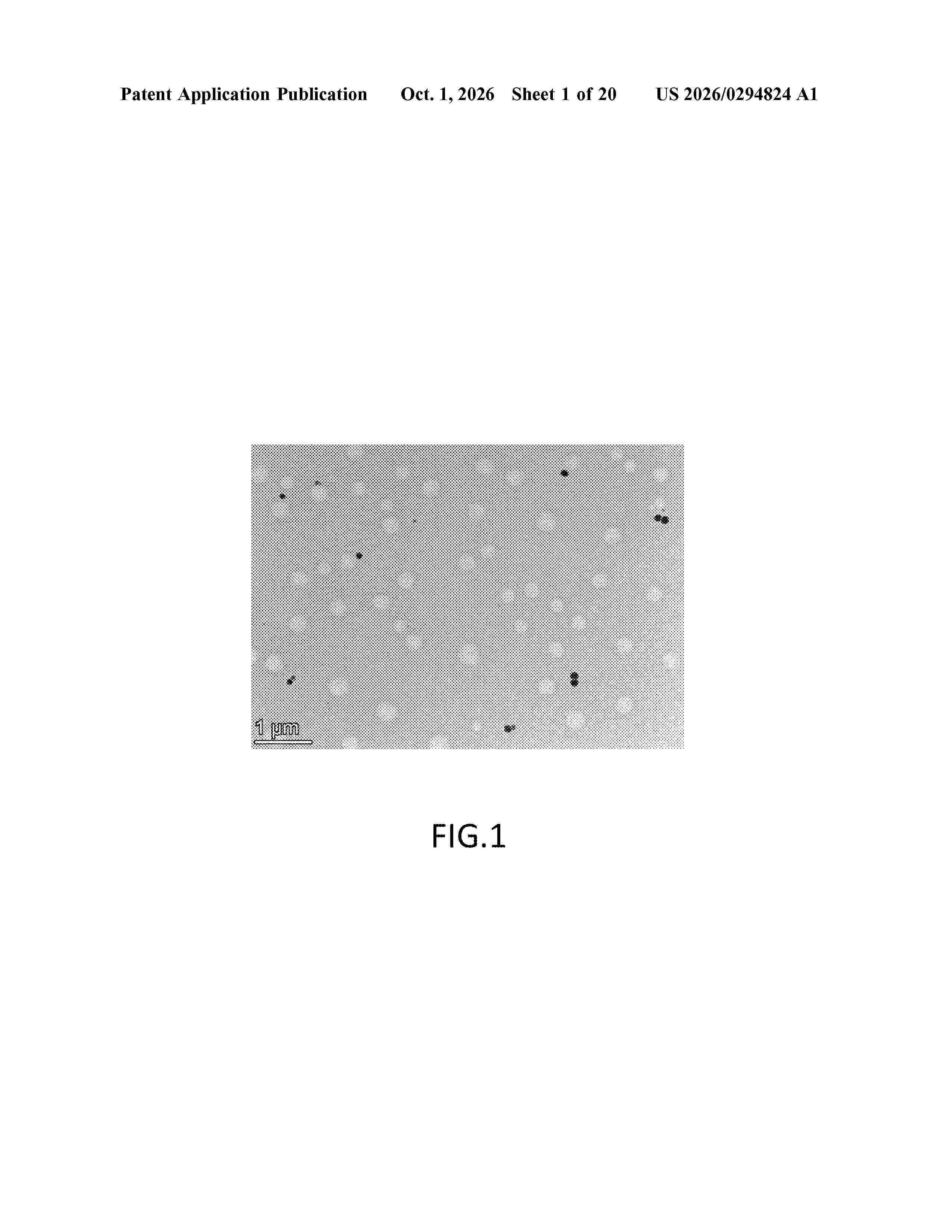 US_20260294824_A1