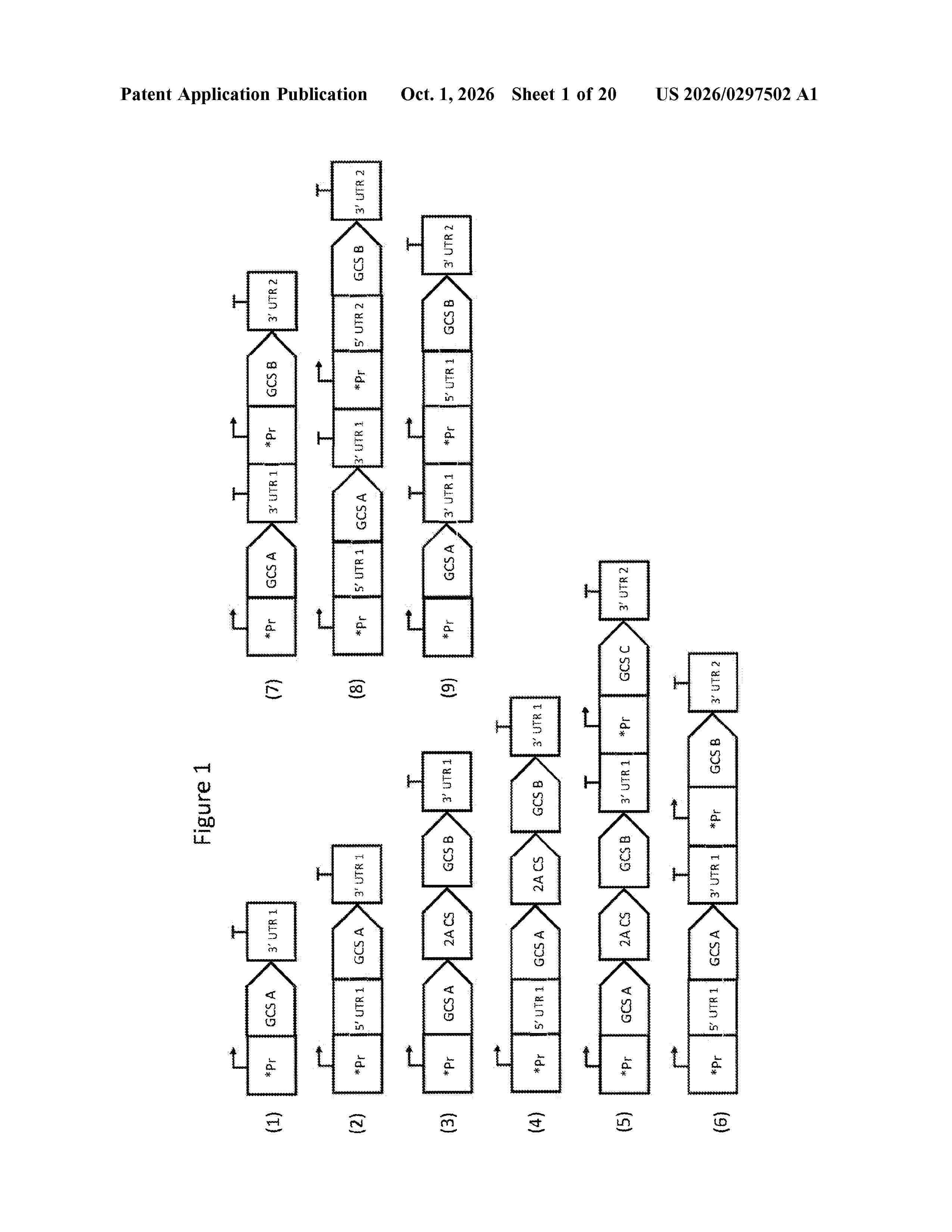 US_20260297502_A1