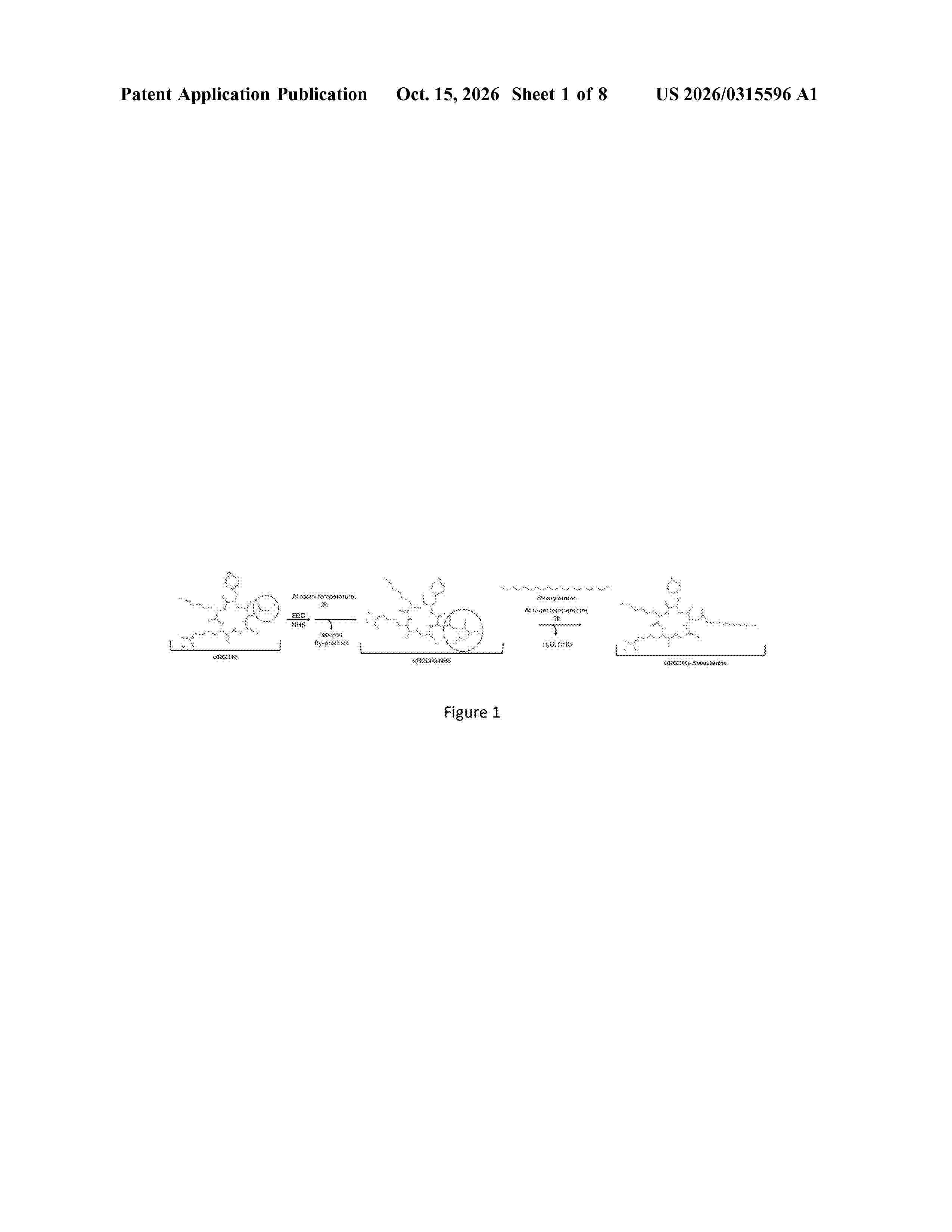 US_20260315596_A1