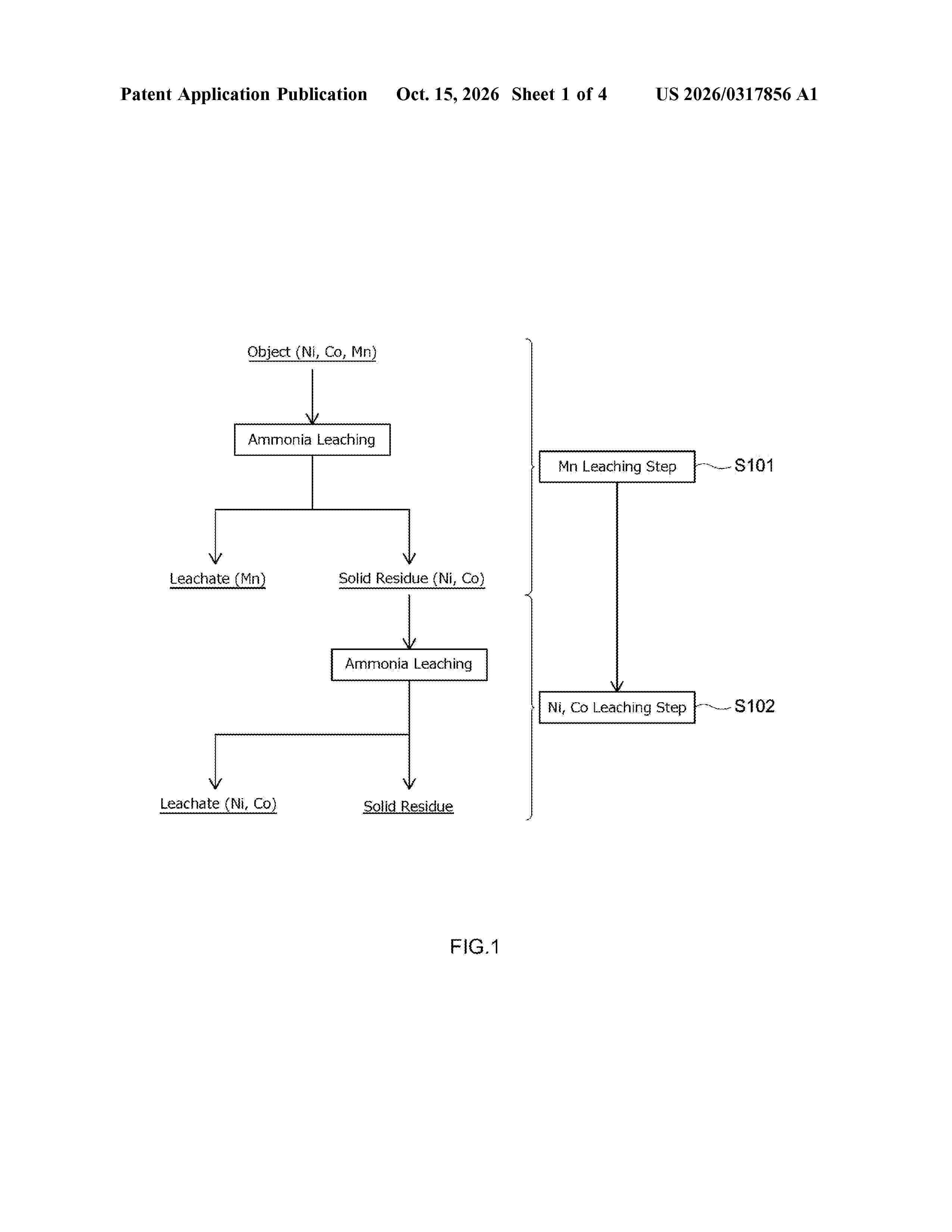 US_20260317856_A1