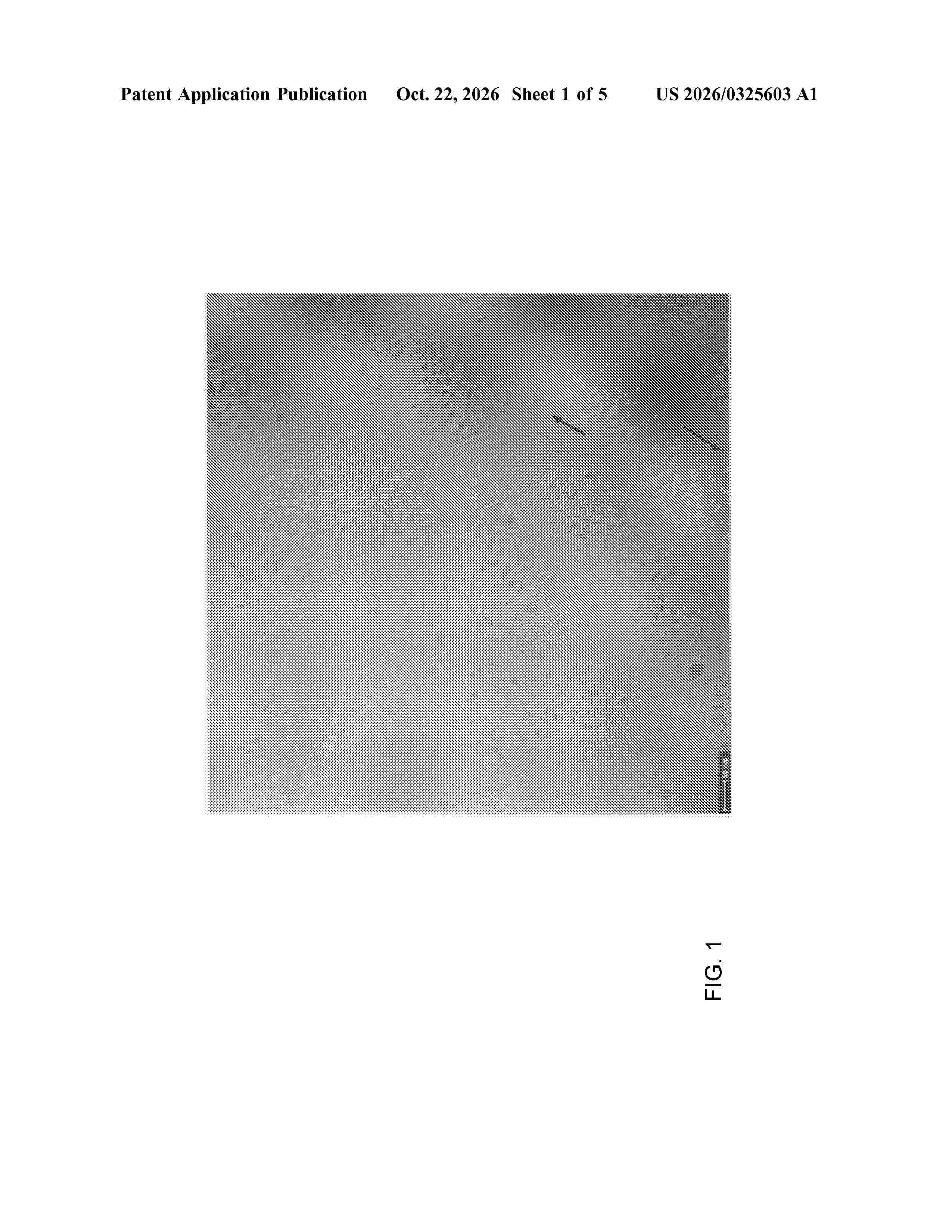 US_20260325603_A1