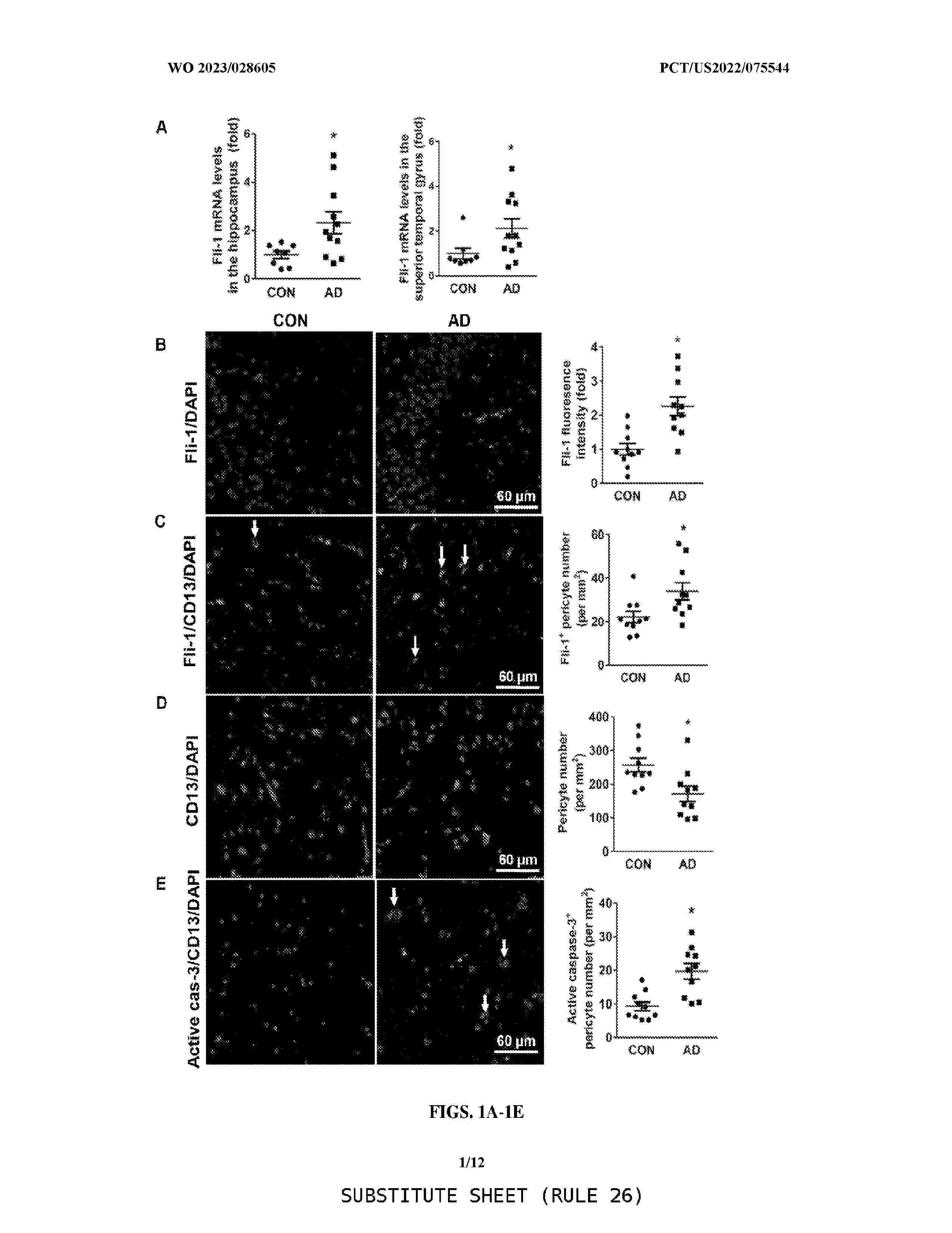 WO_2023028605_A1