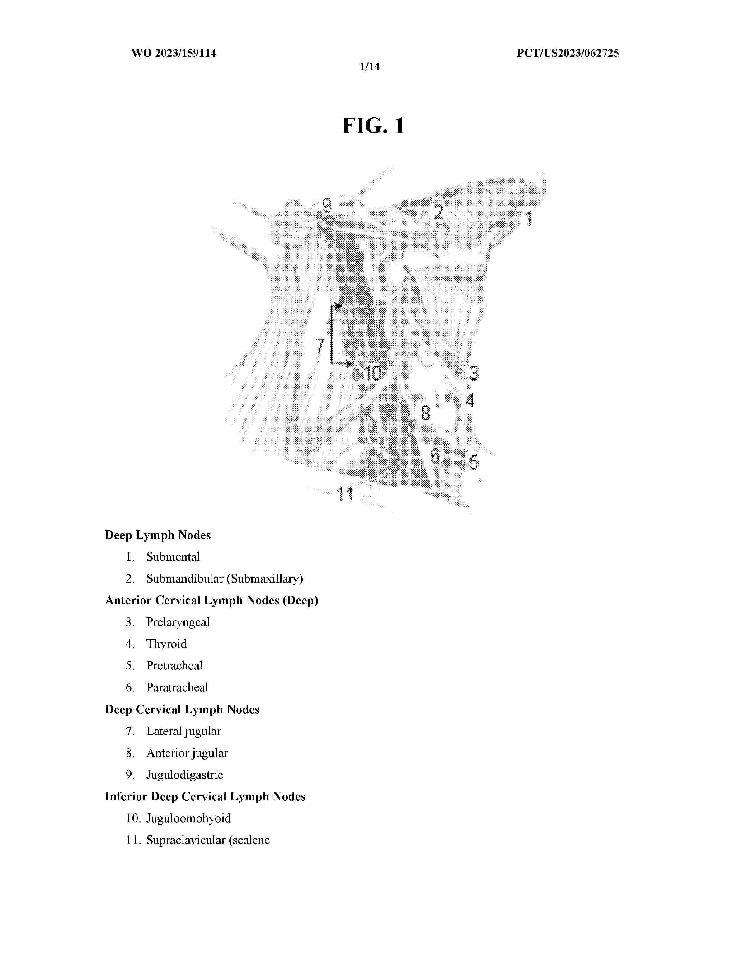 WO_2023159114_A2
