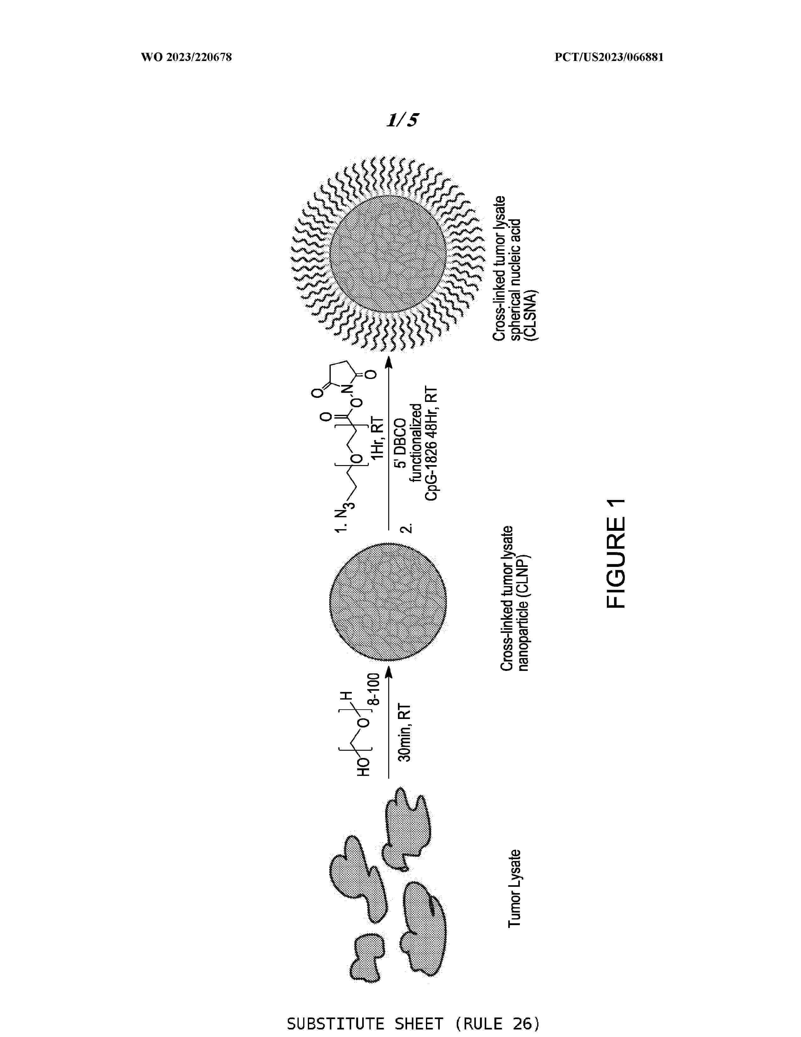 WO_2023220678_A1