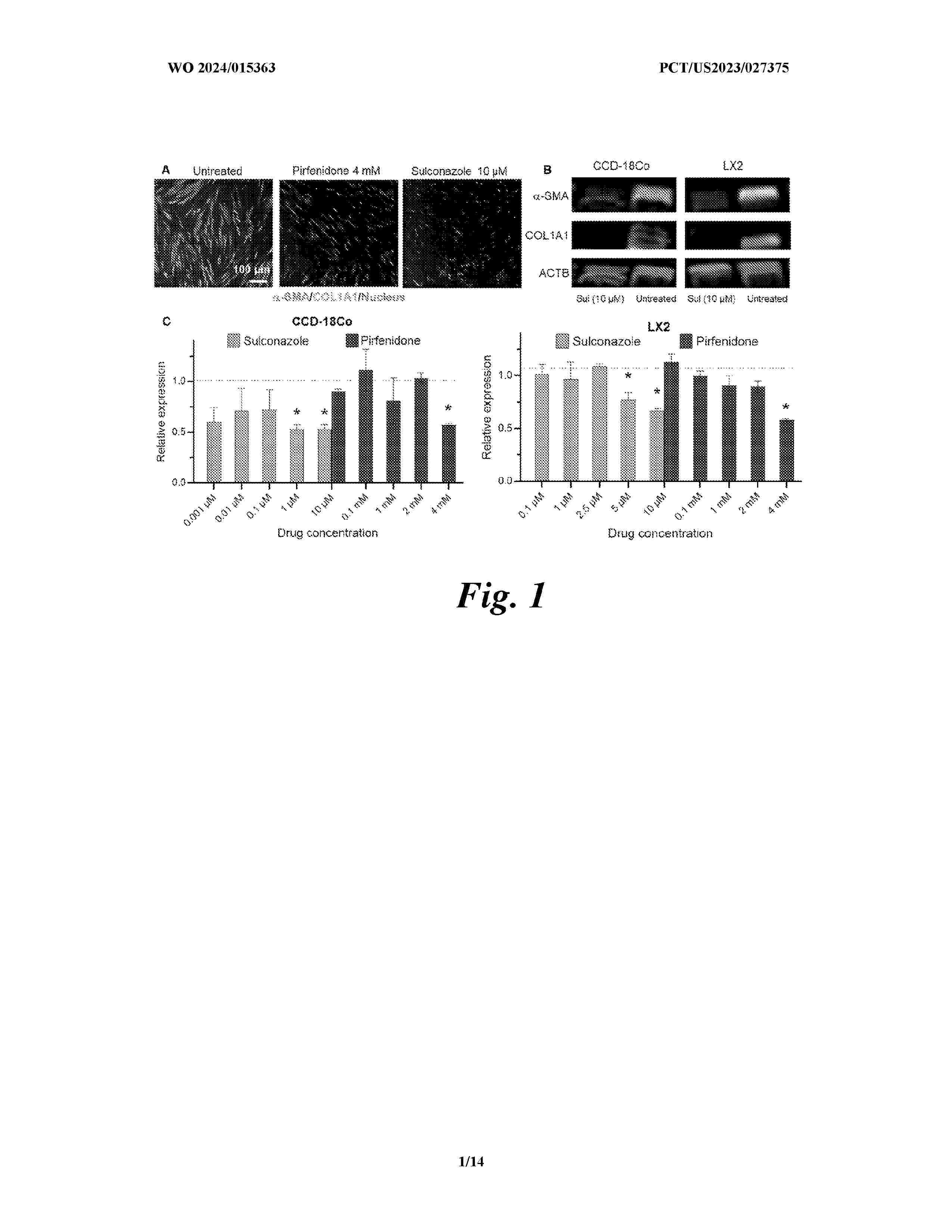 WO_2024015363_A1