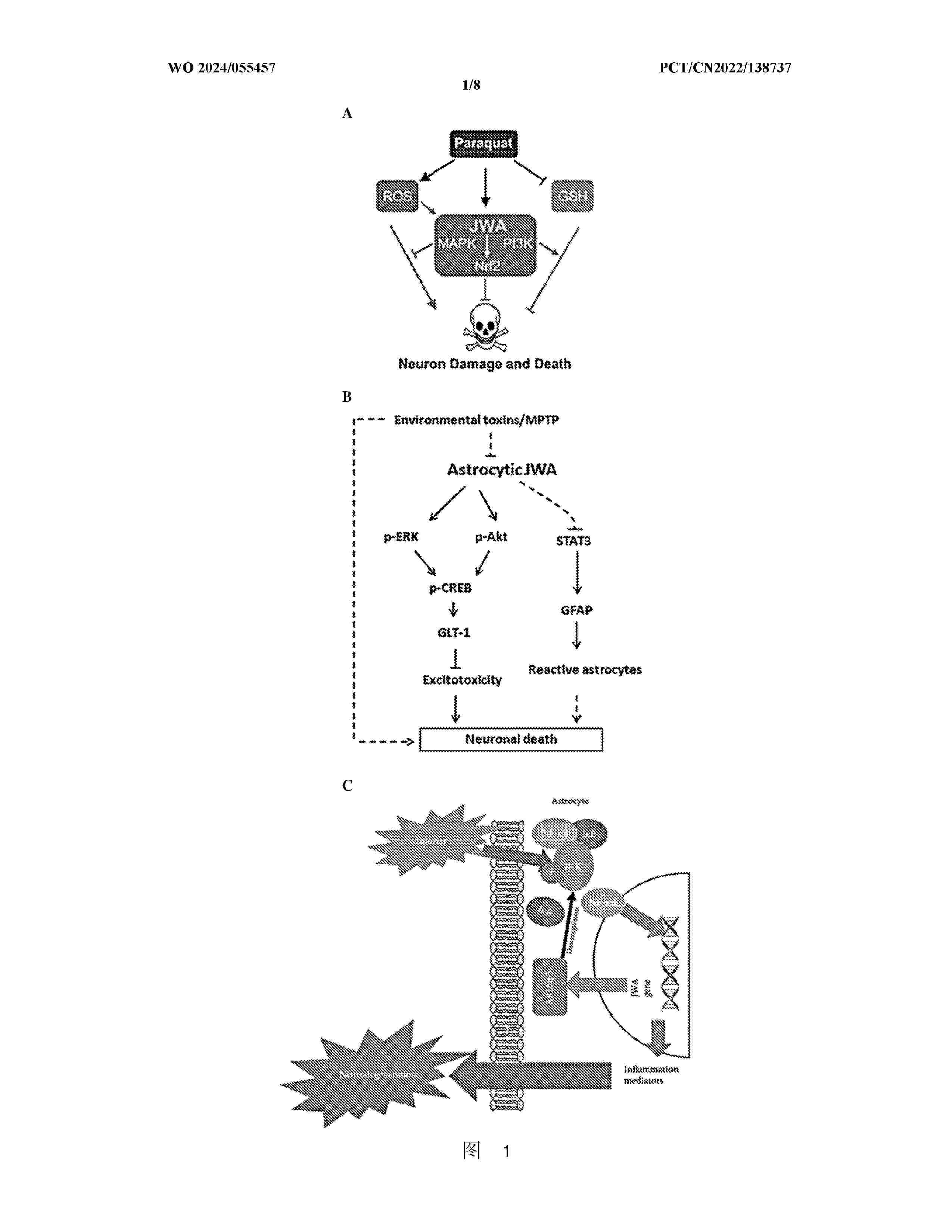 WO_2024055457_A1