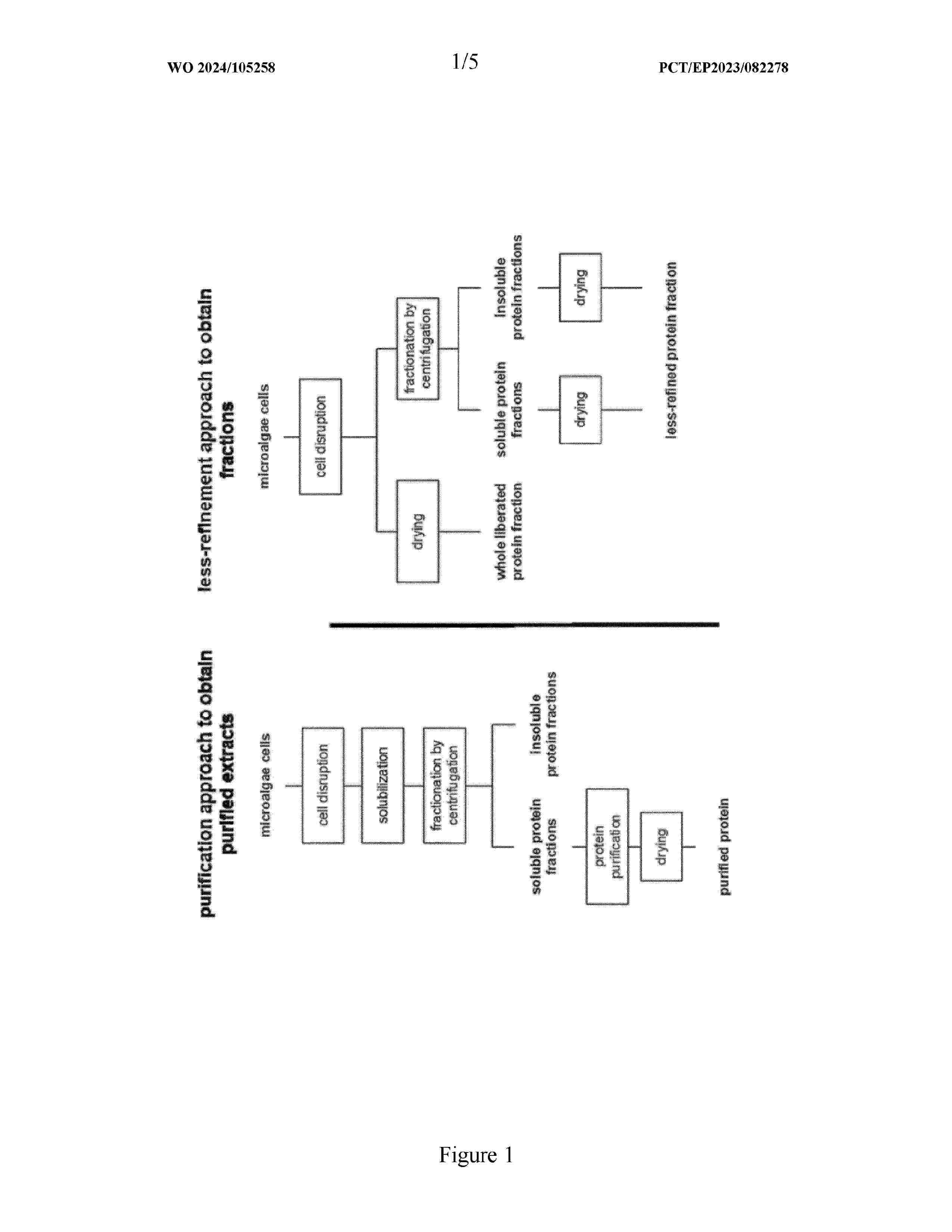 WO_2024105258_A1