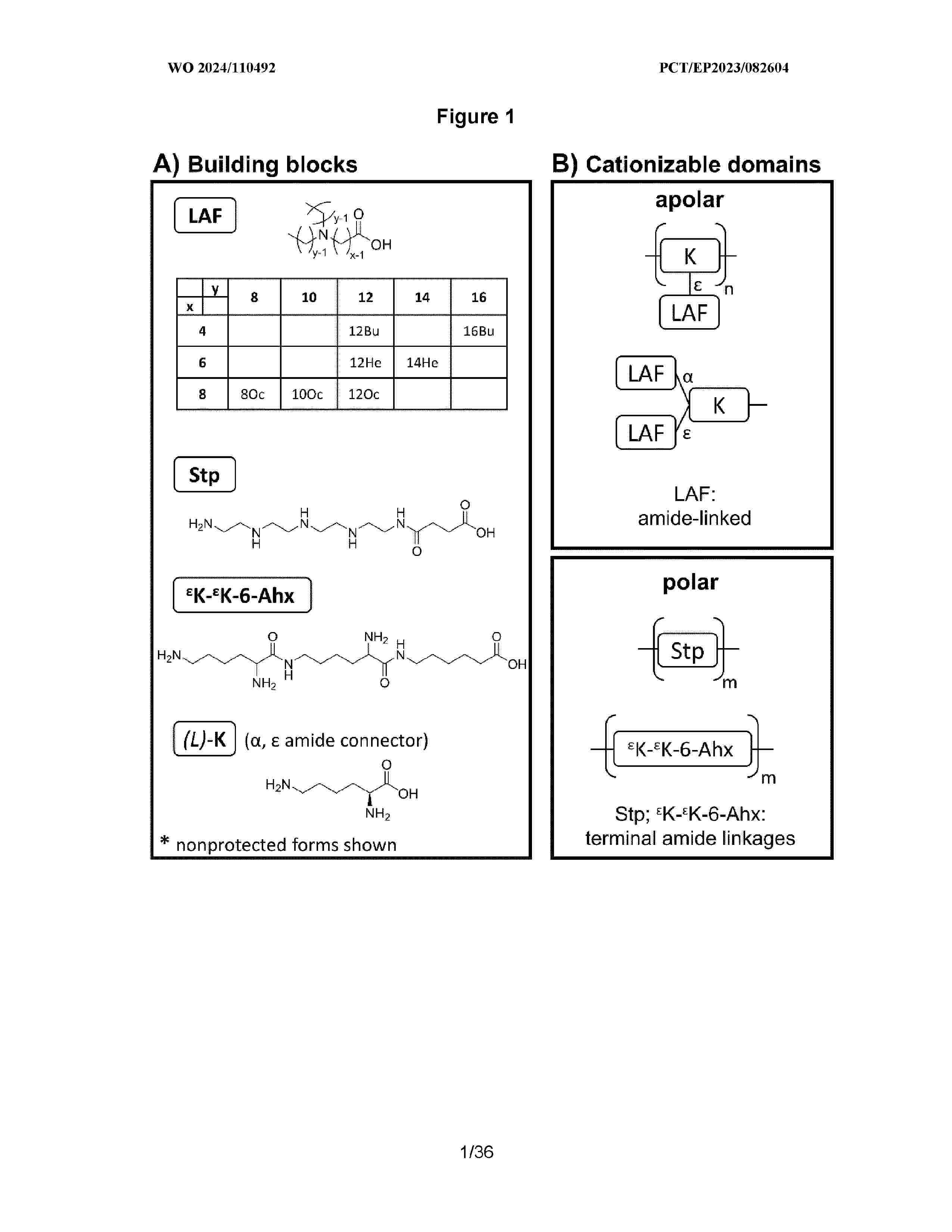 WO_2024110492_A1