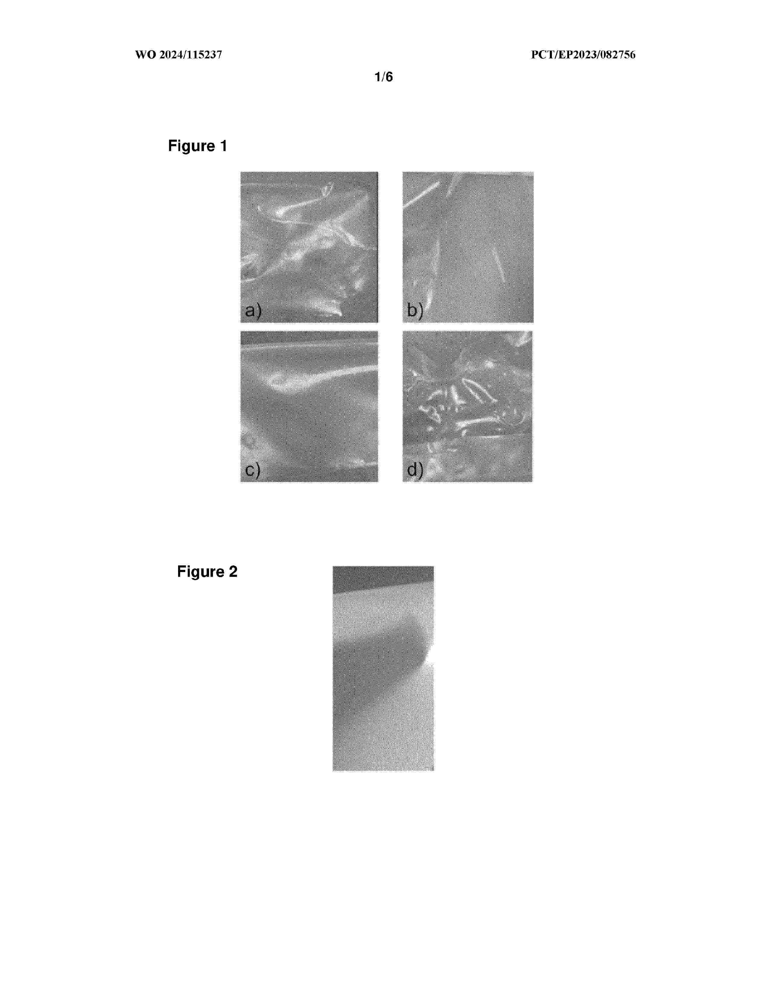 WO_2024115237_A1