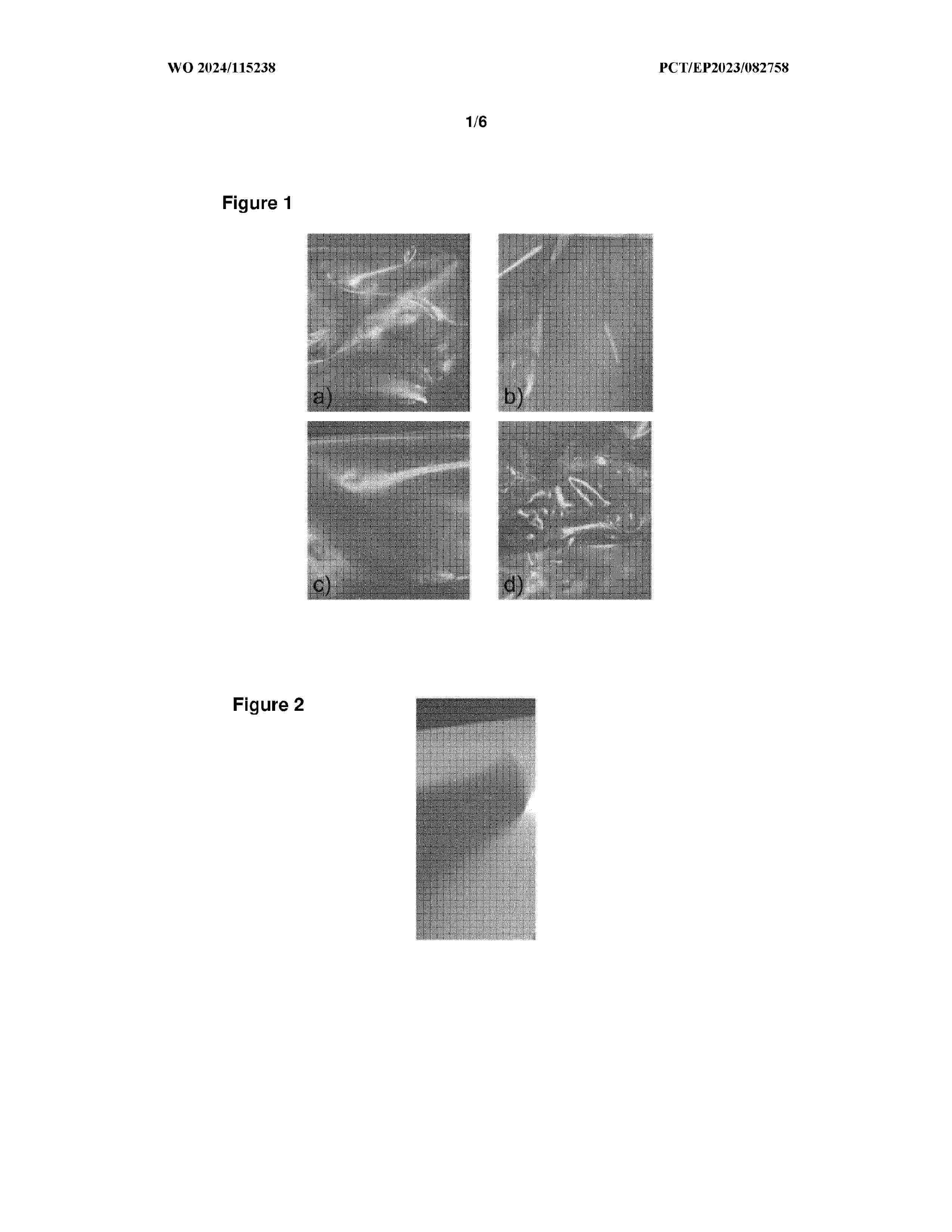 WO_2024115238_A1