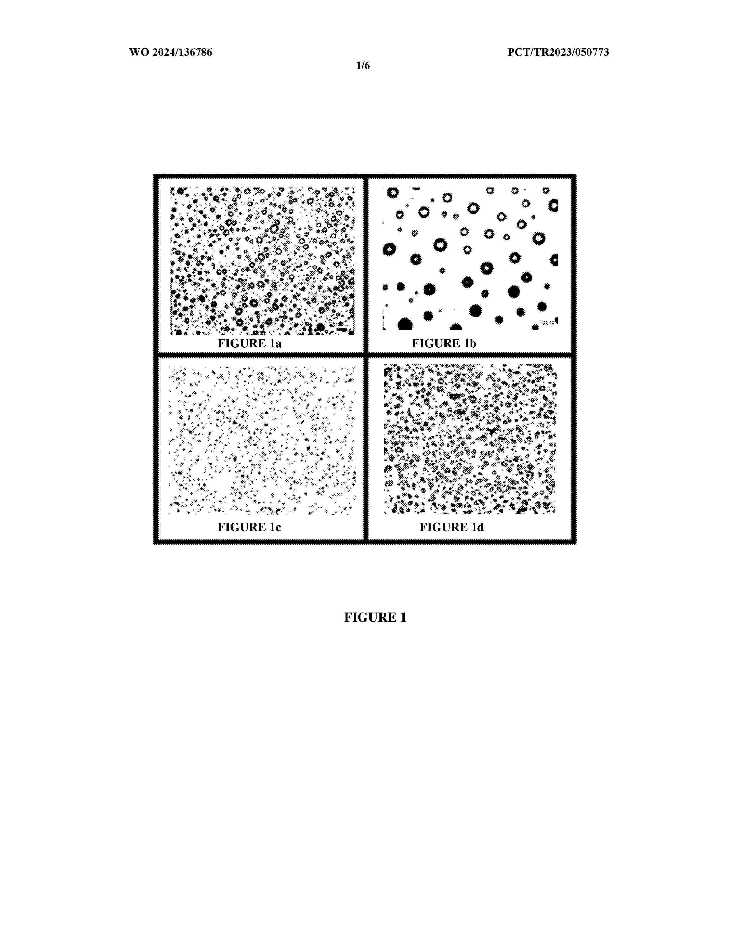 WO_2024136786_A1