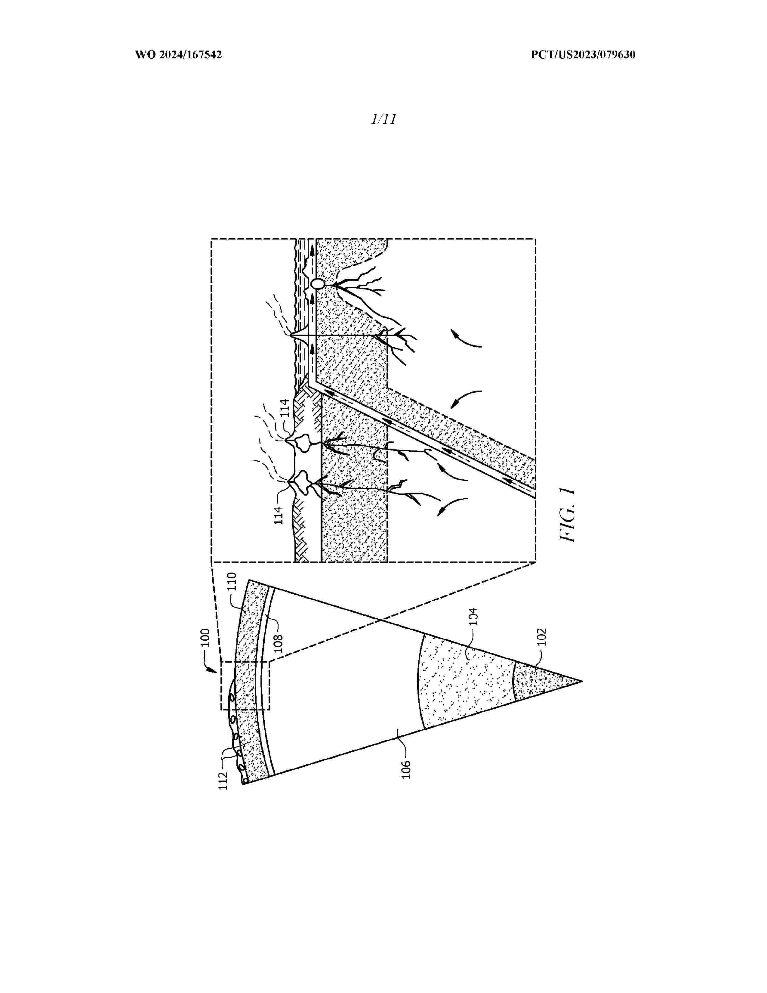 WO_2024167542_A1