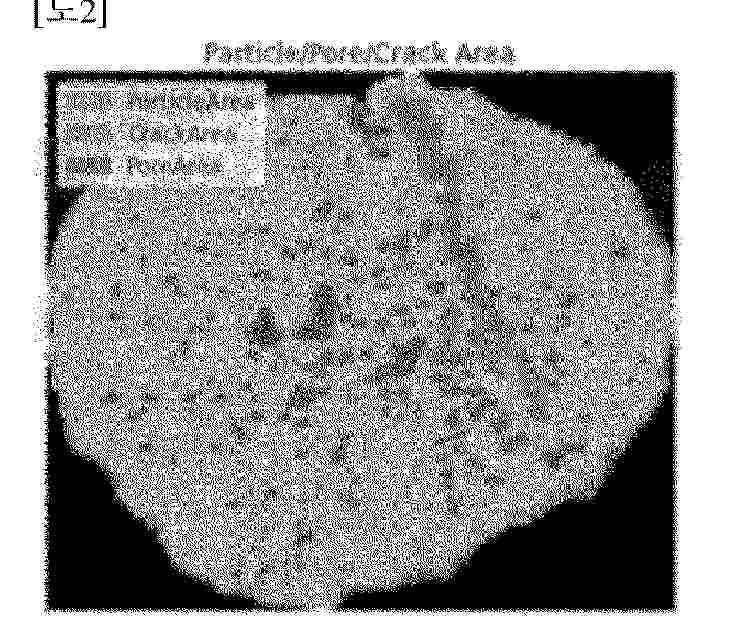 WO_2024172503_PA