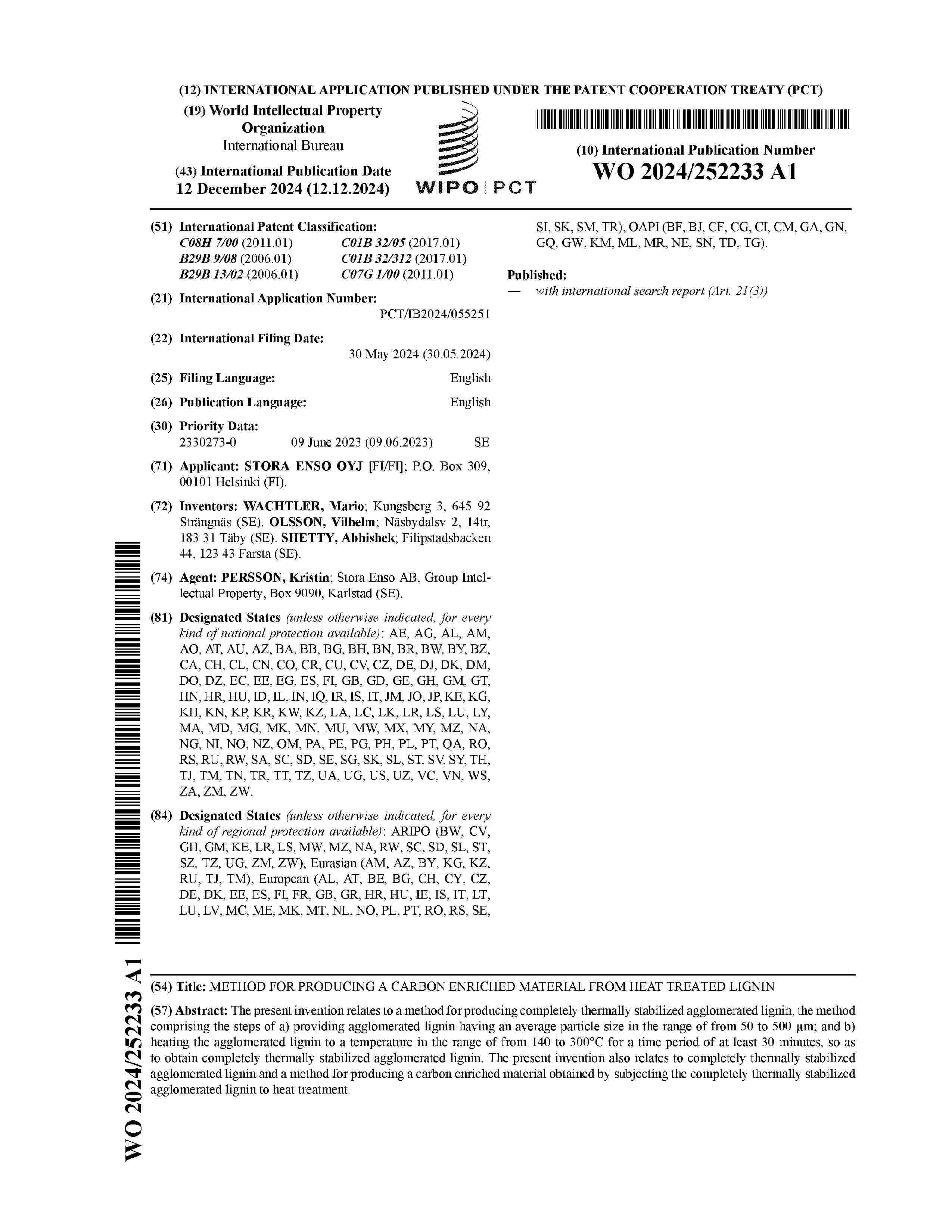 WO_2024252233_A1