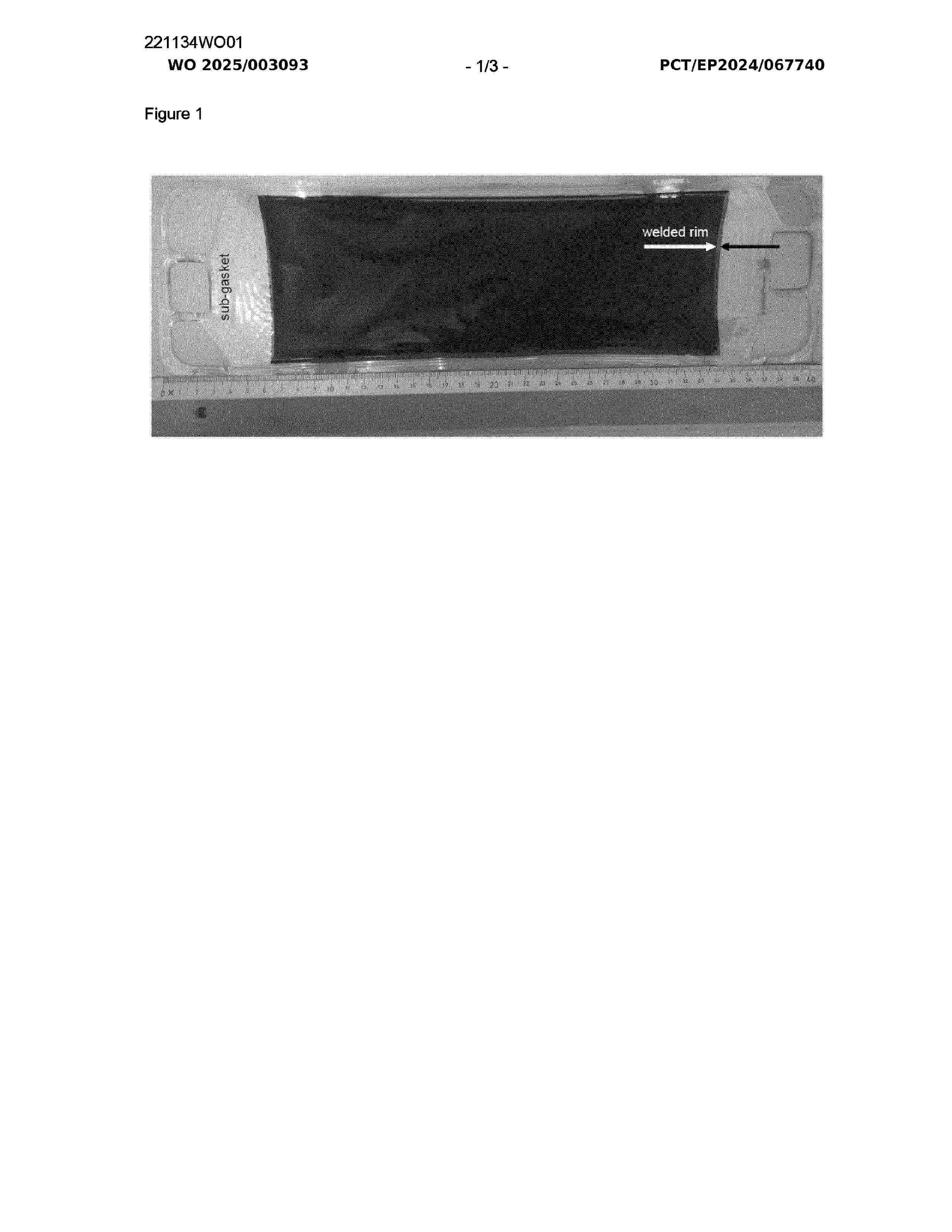 WO_2025003093_A1