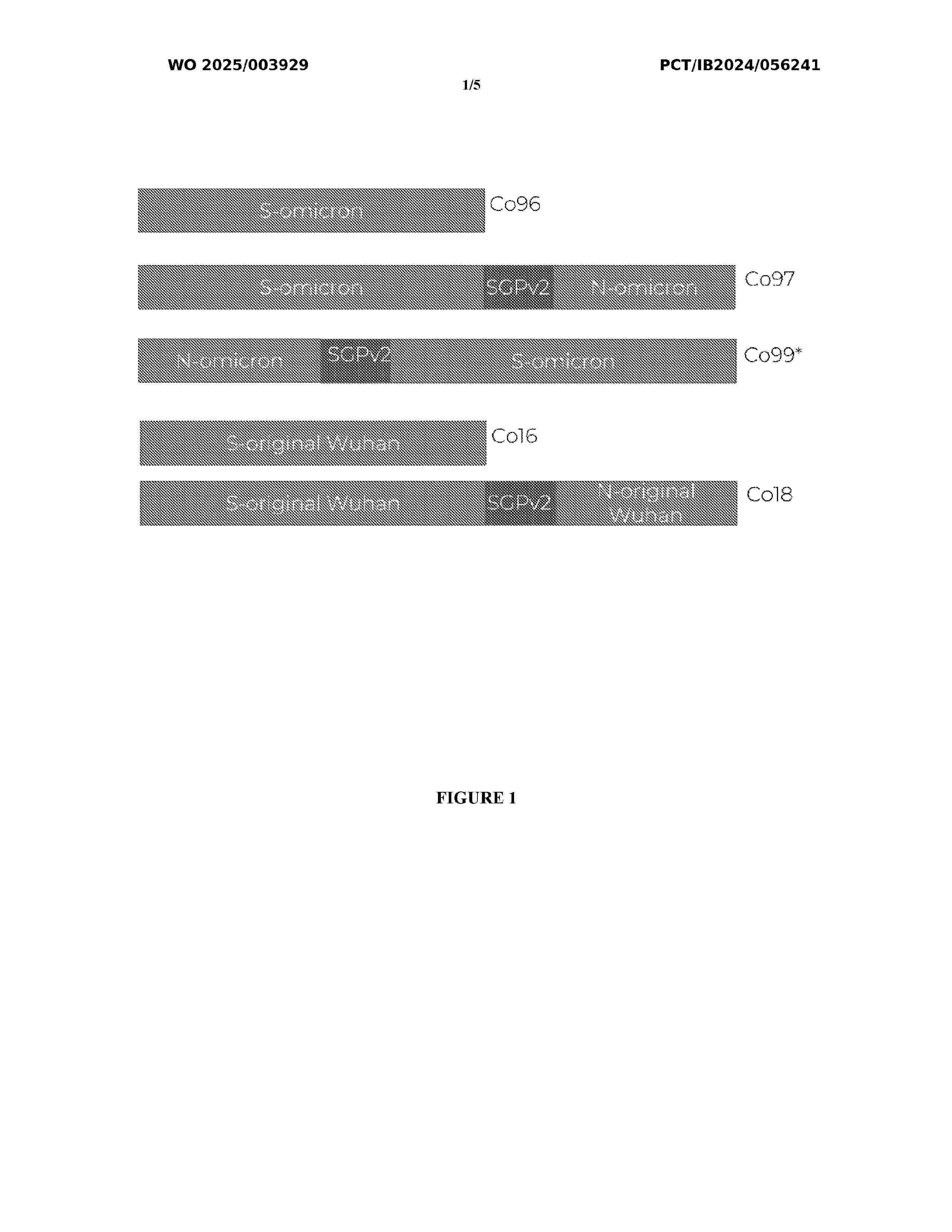 WO_2025003929_A2