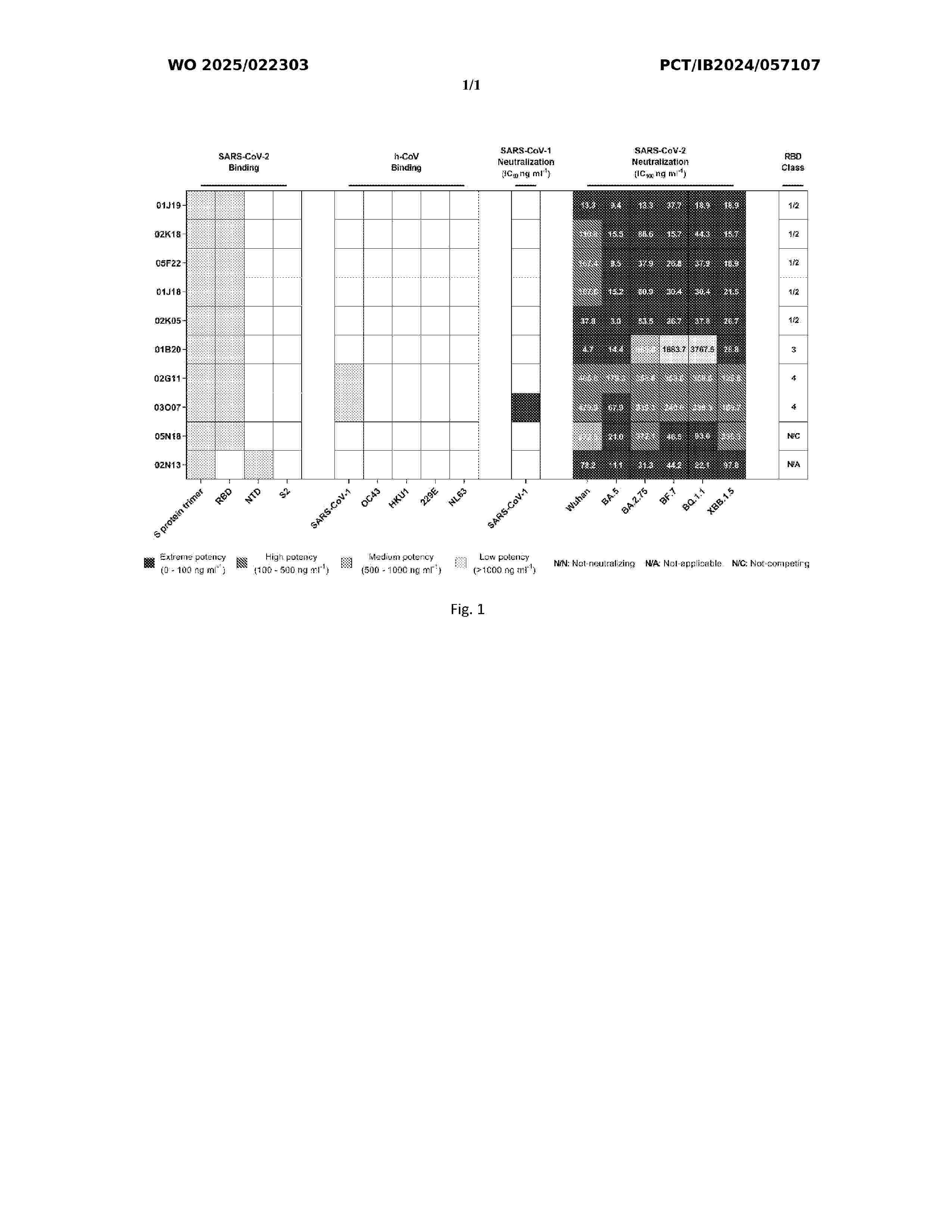 WO_2025022303_A1