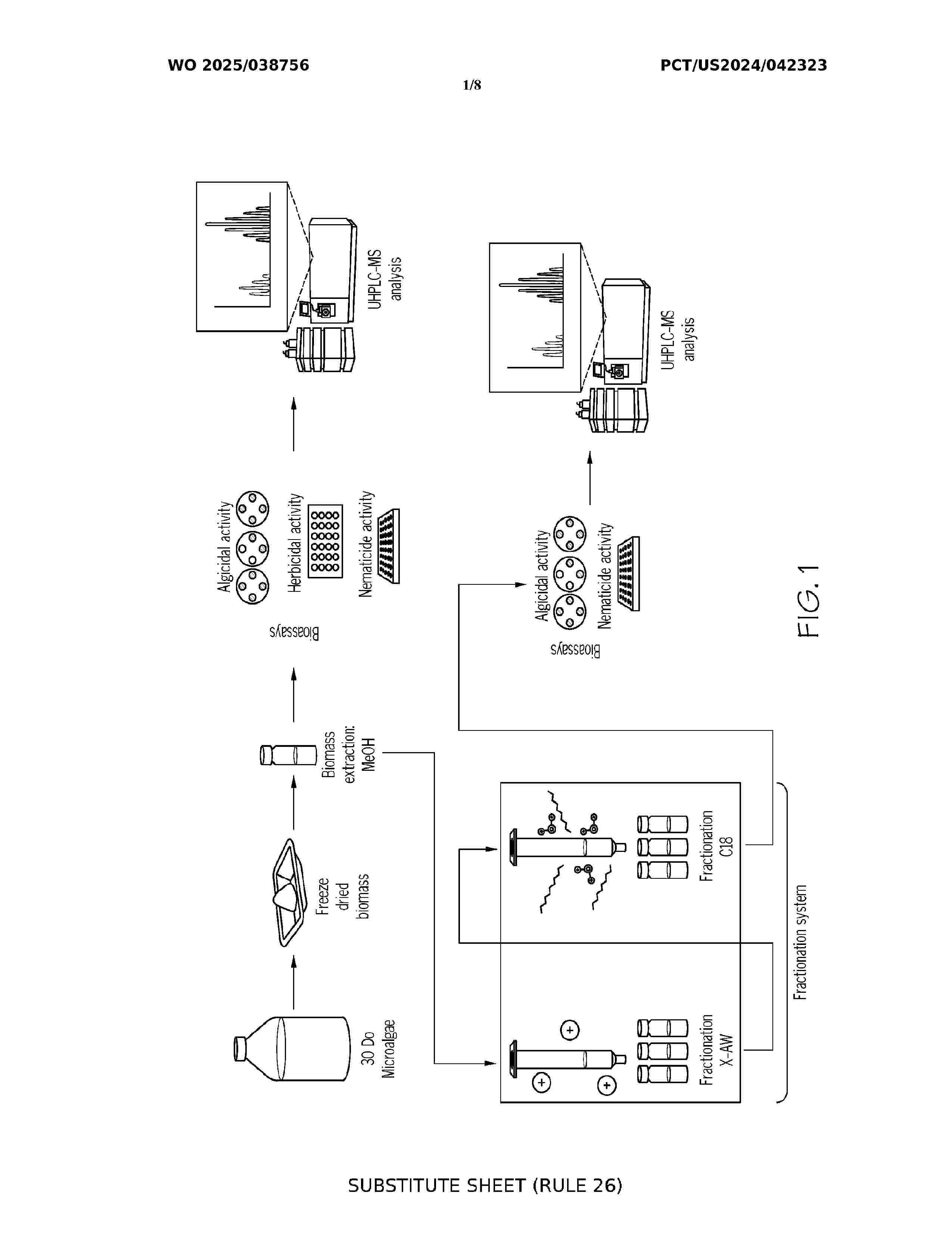 WO_2025038756_A1