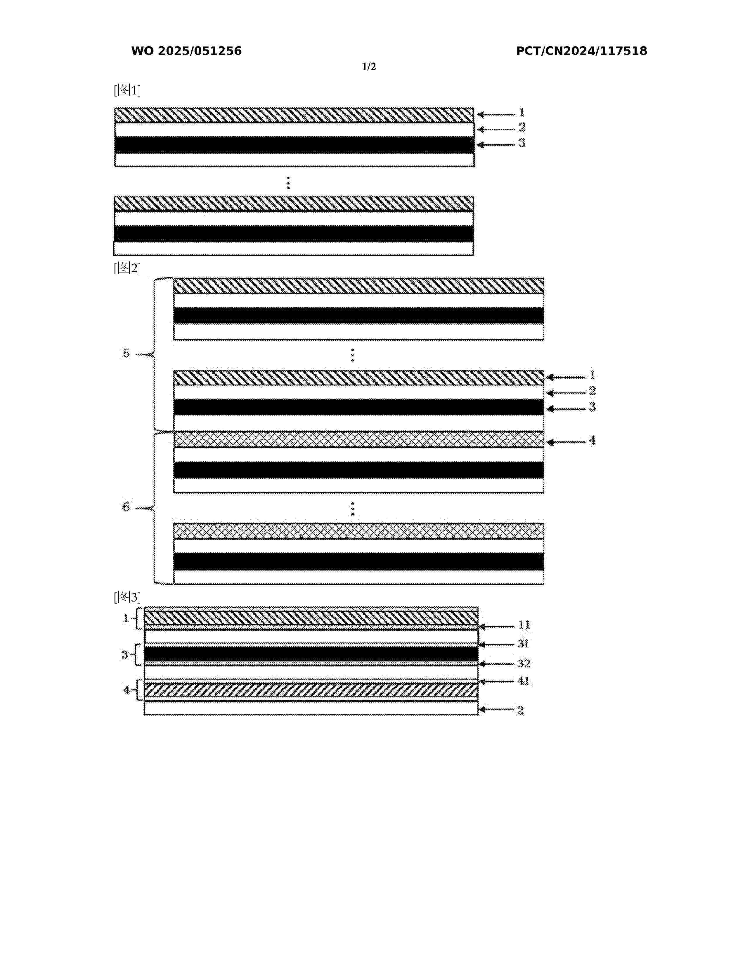 WO_2025051256_A1