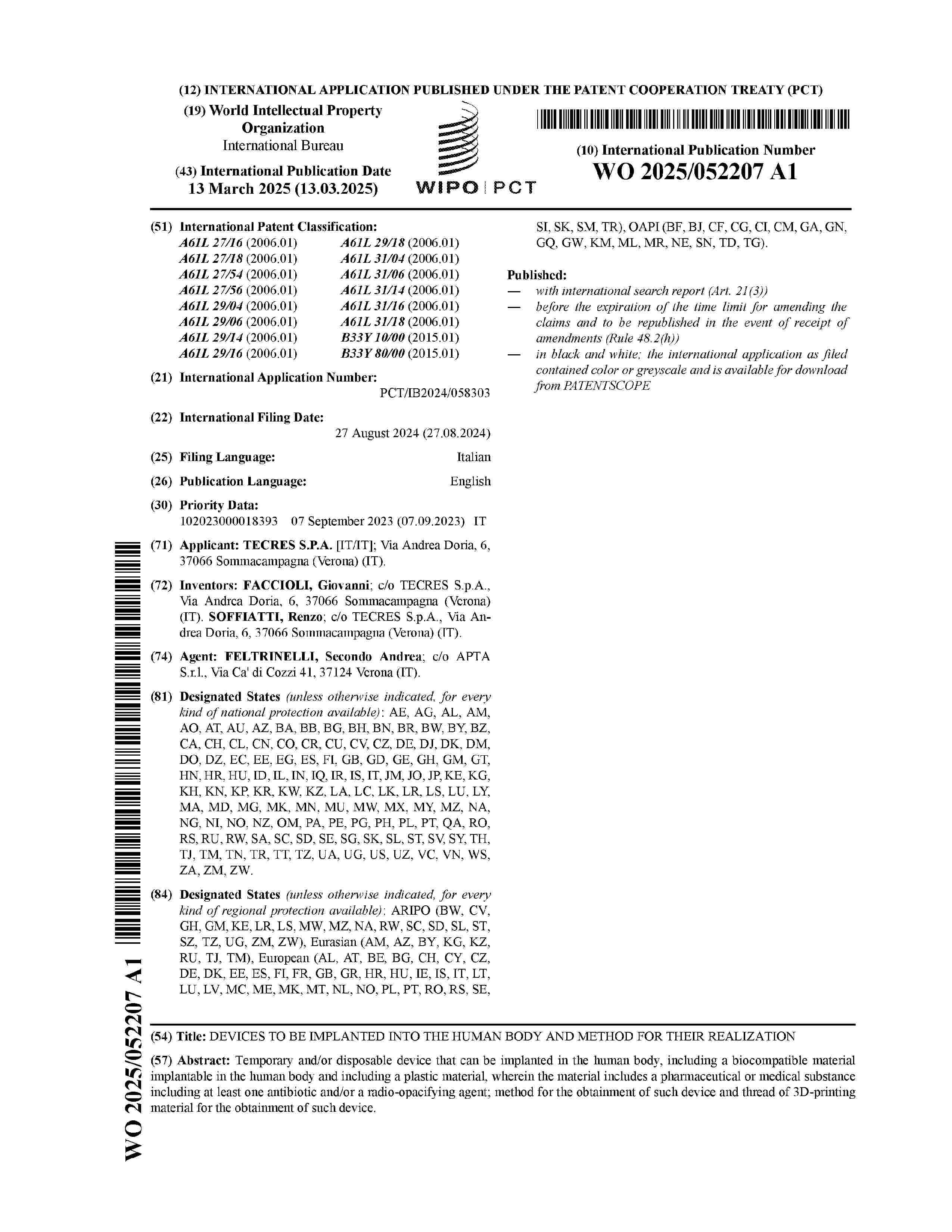 WO_2025052207_A1