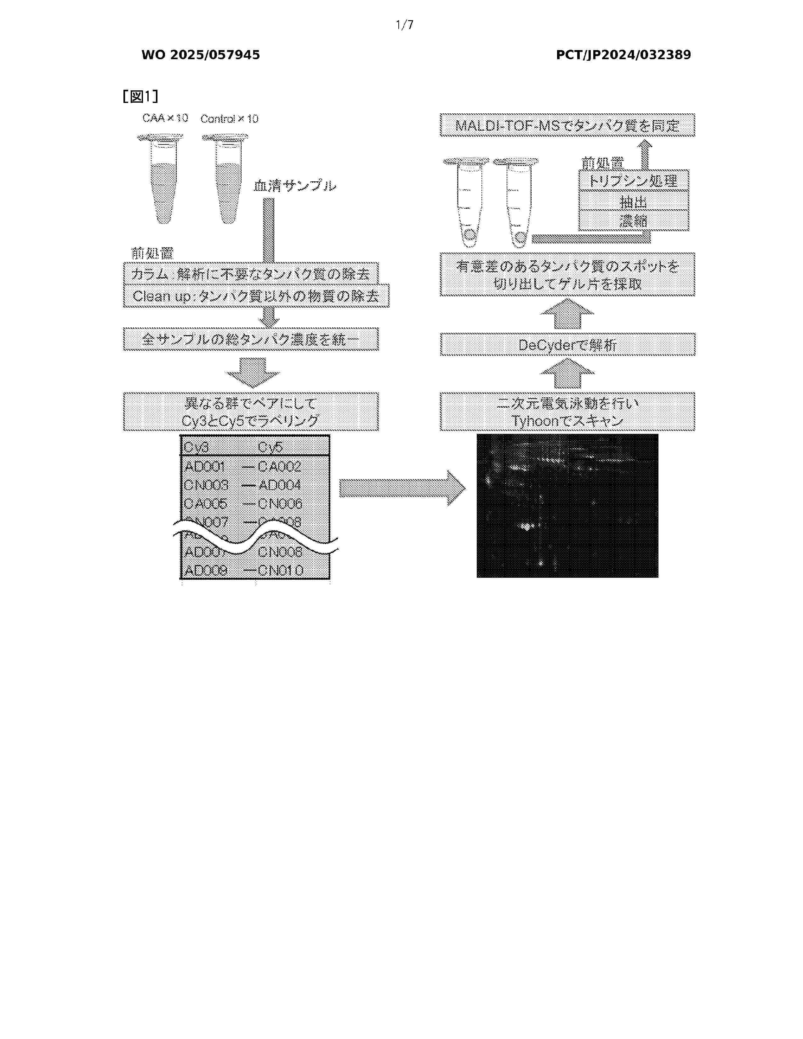 WO_2025057945_A1