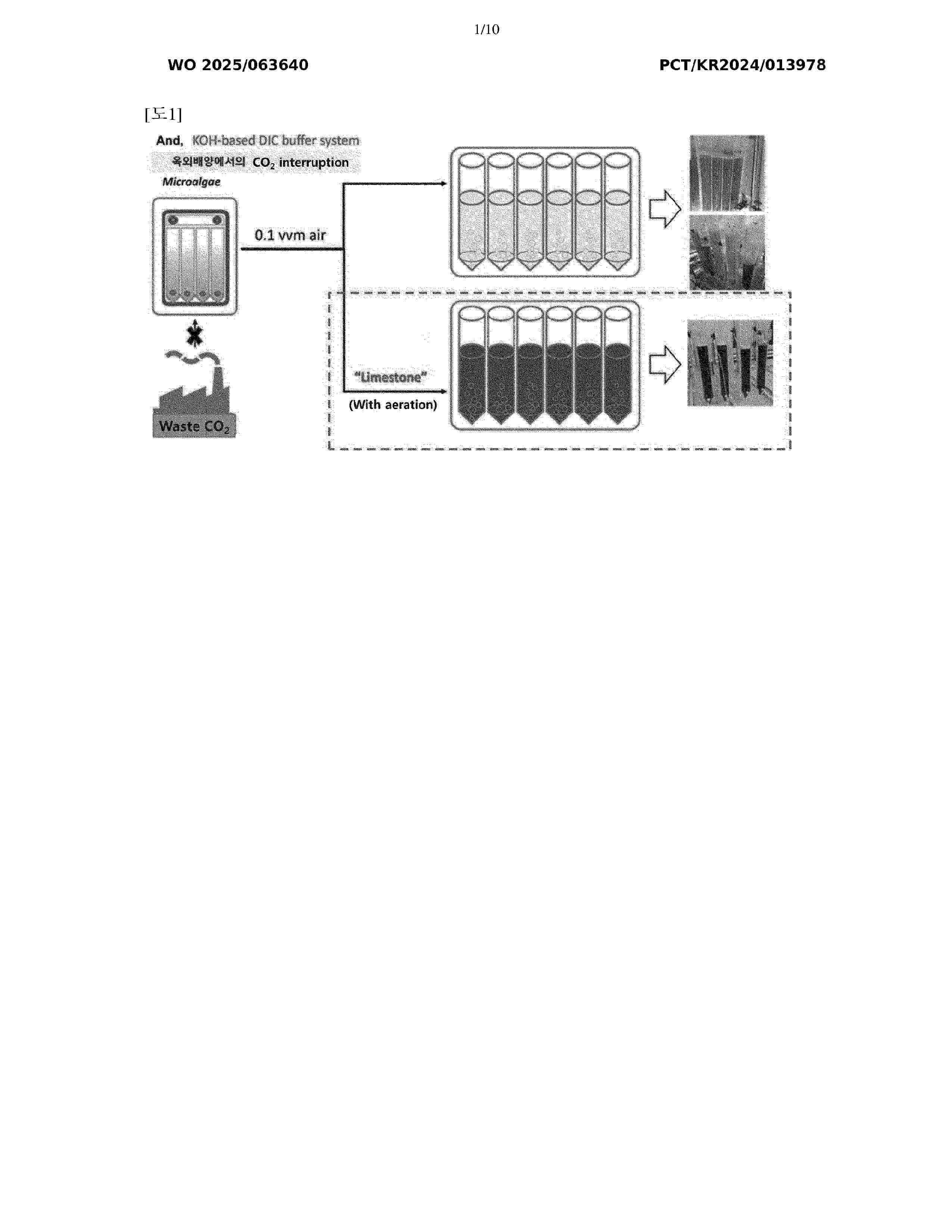 WO_2025063640_A1