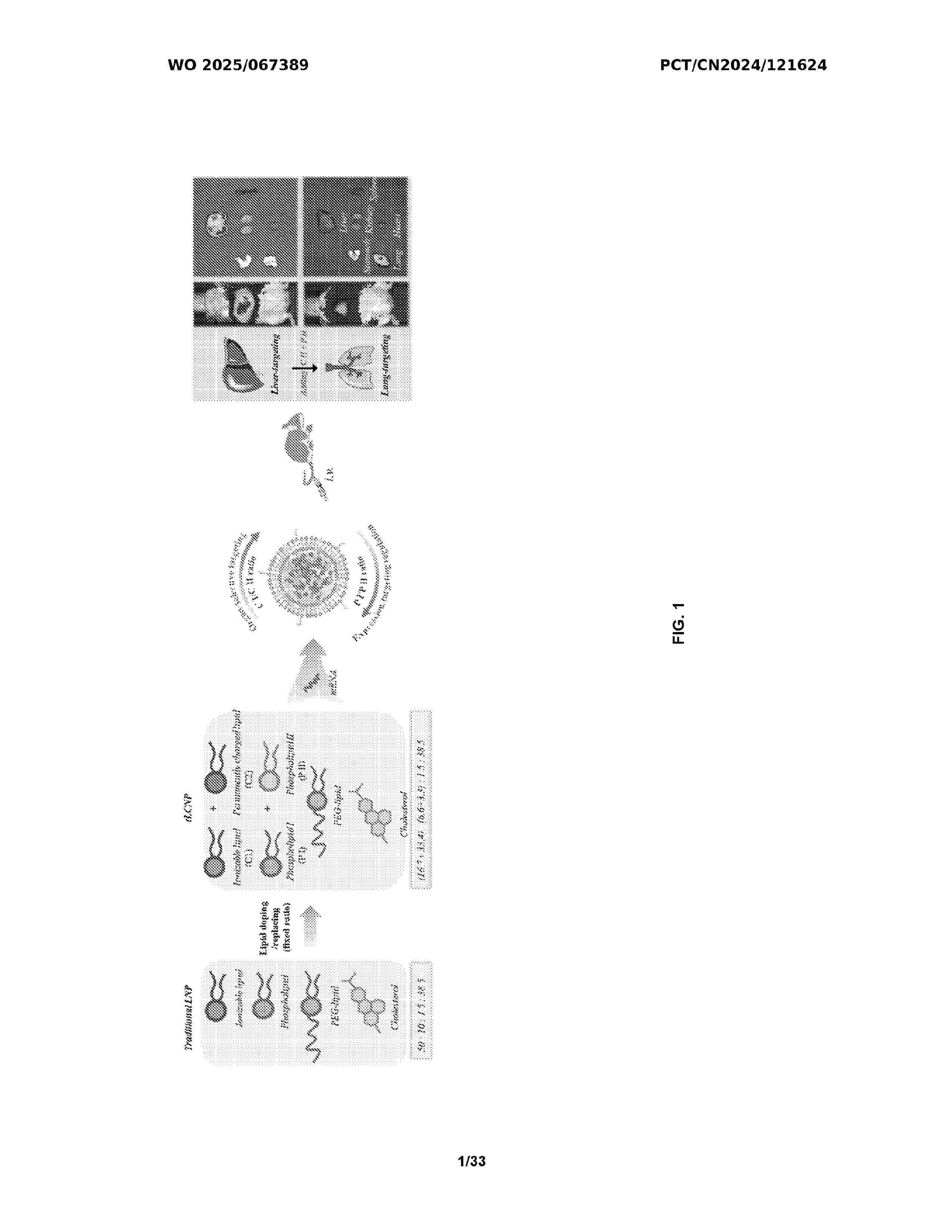 WO_2025067389_A1