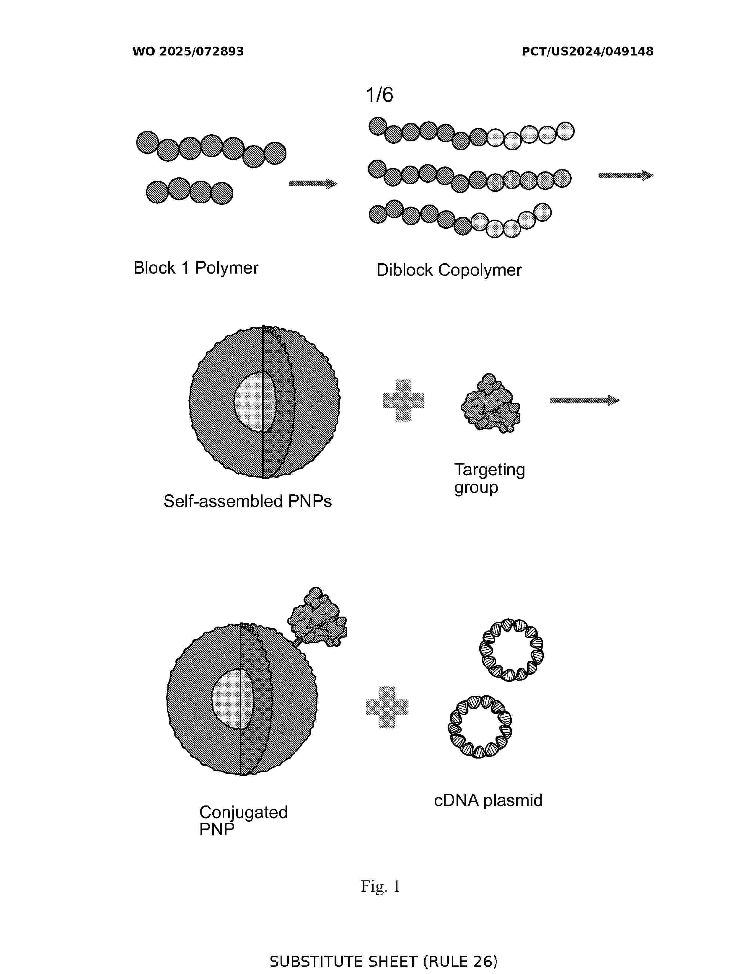WO_2025072893_A1