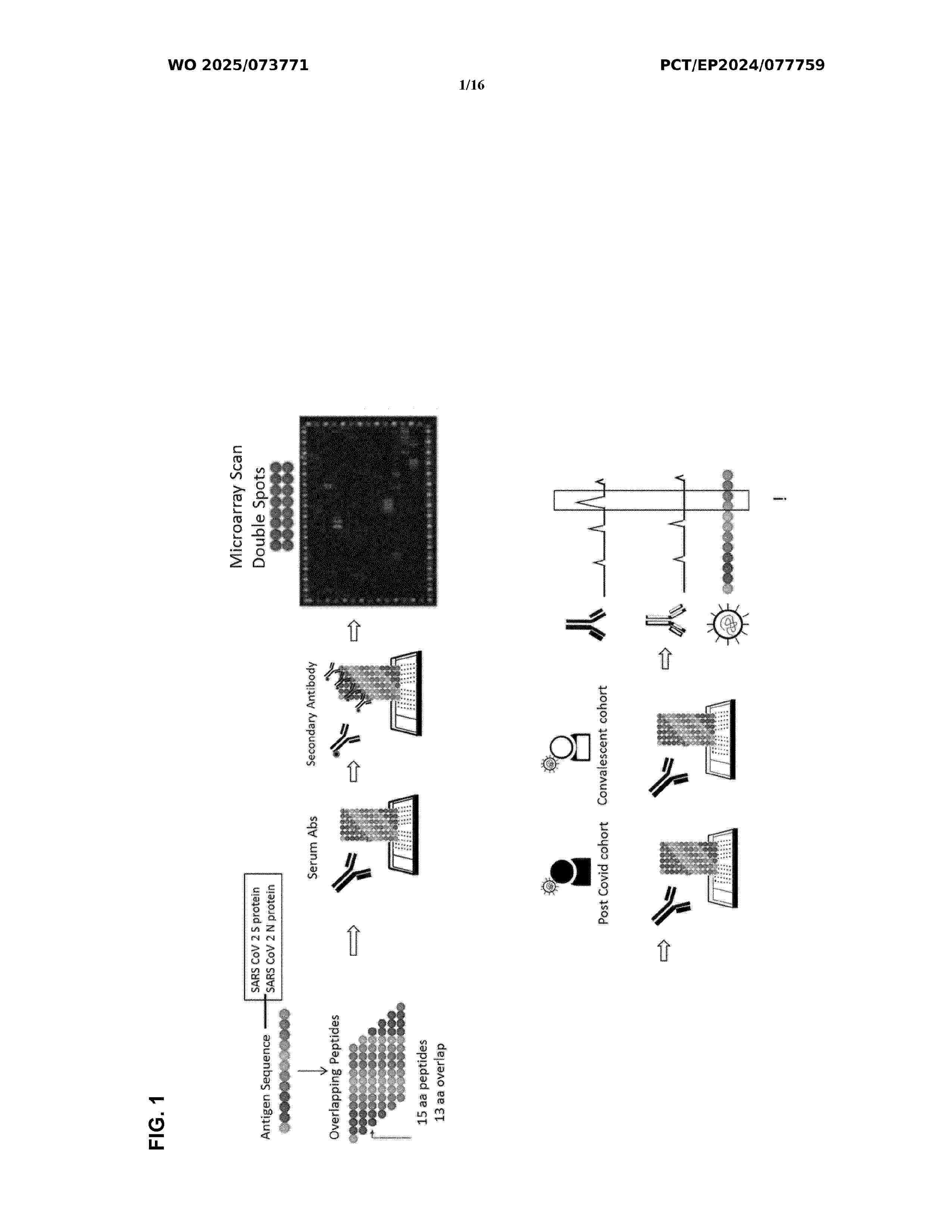 WO_2025073771_A1