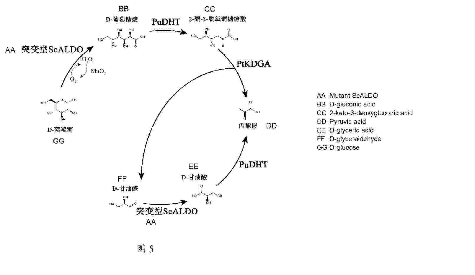 WO_2025076950_PA