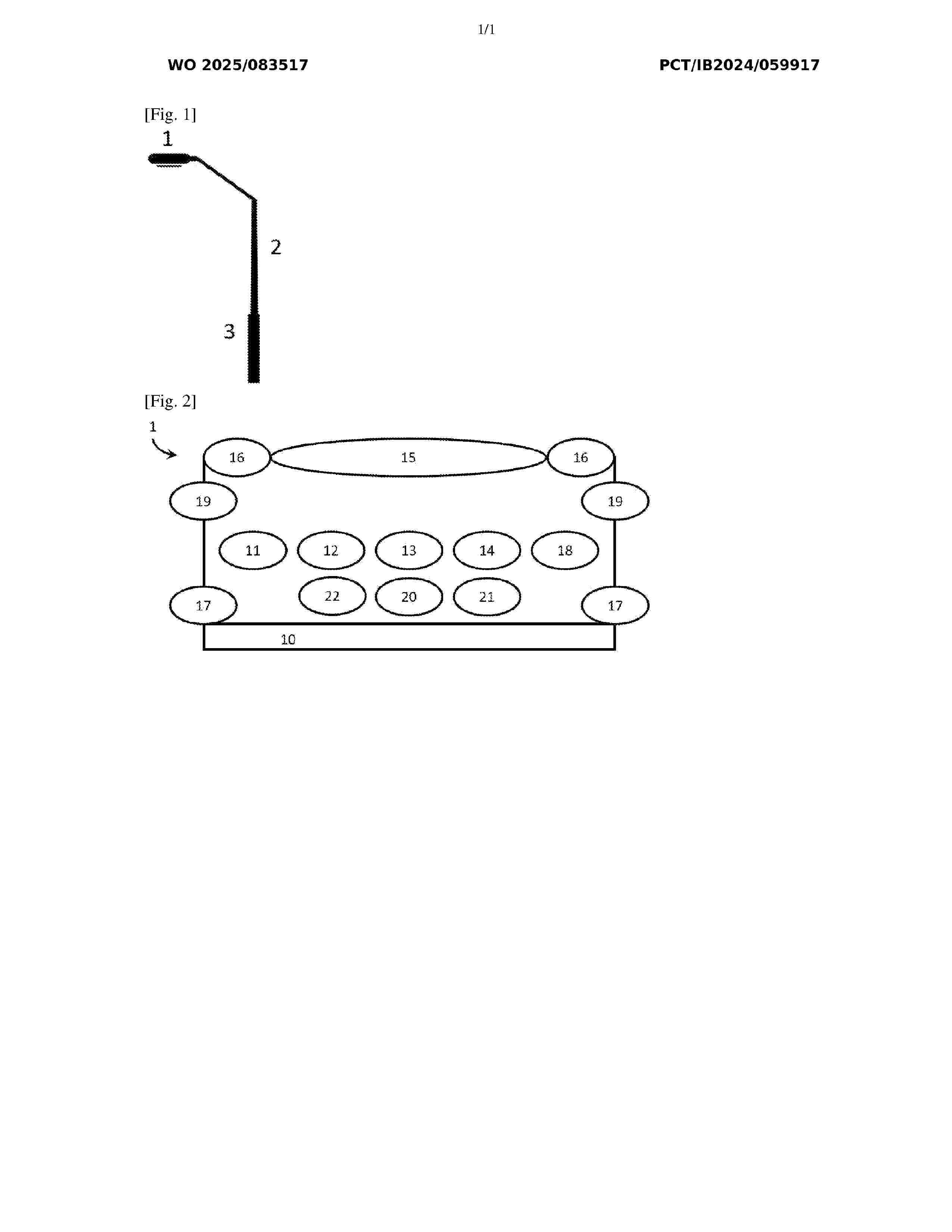 WO_2025083517_A1