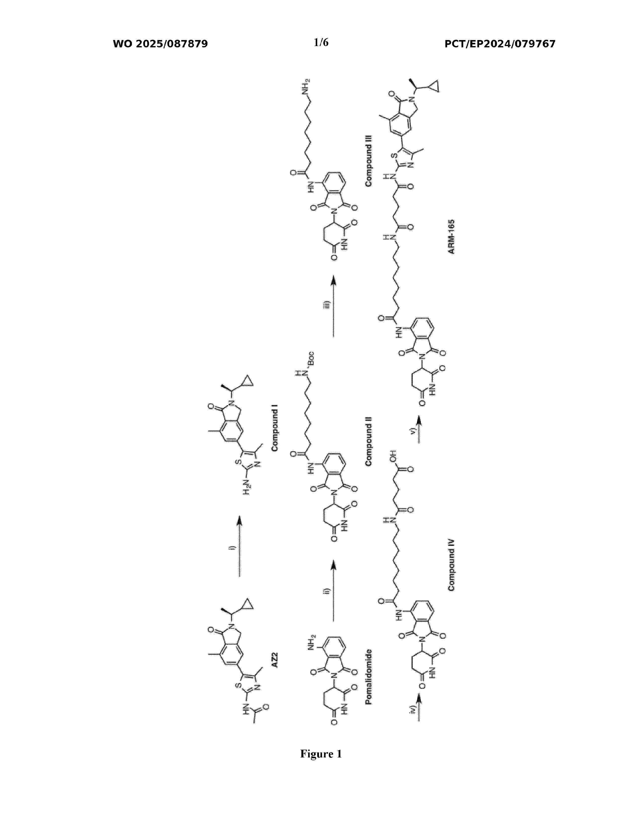 WO_2025087879_A2