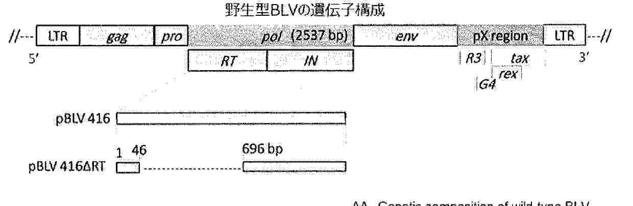 WO_2025089328_PA